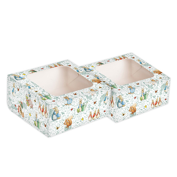Peter Rabbit Cake Boxes (2 pack)