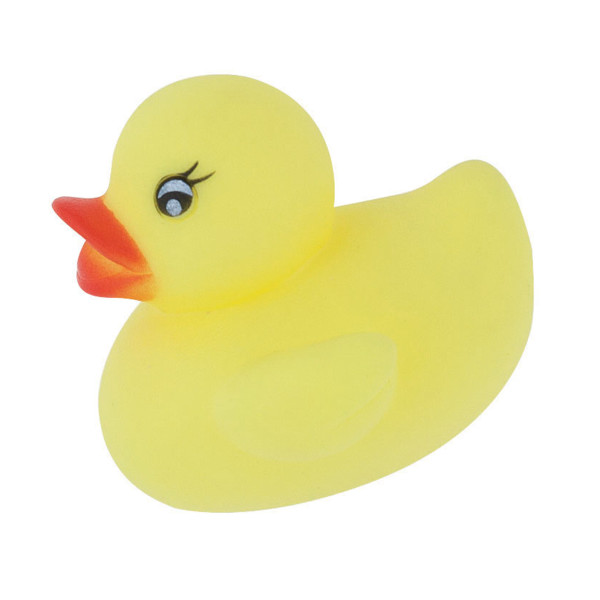 Baby Shower Rubber Duck Favors (4 pack)