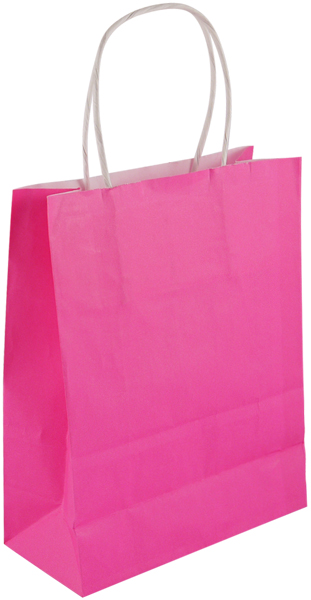 Pink Paper Party Gift Bag With Handles