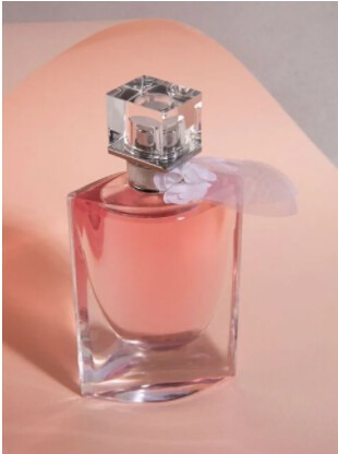 Perfume La Vie Est Belle