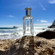 Perfume Tommy By Tommy Hilfiger