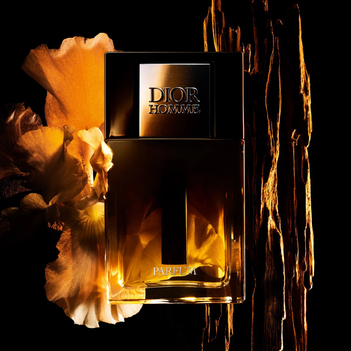 Perfume Dior Homme Eau de Toilette