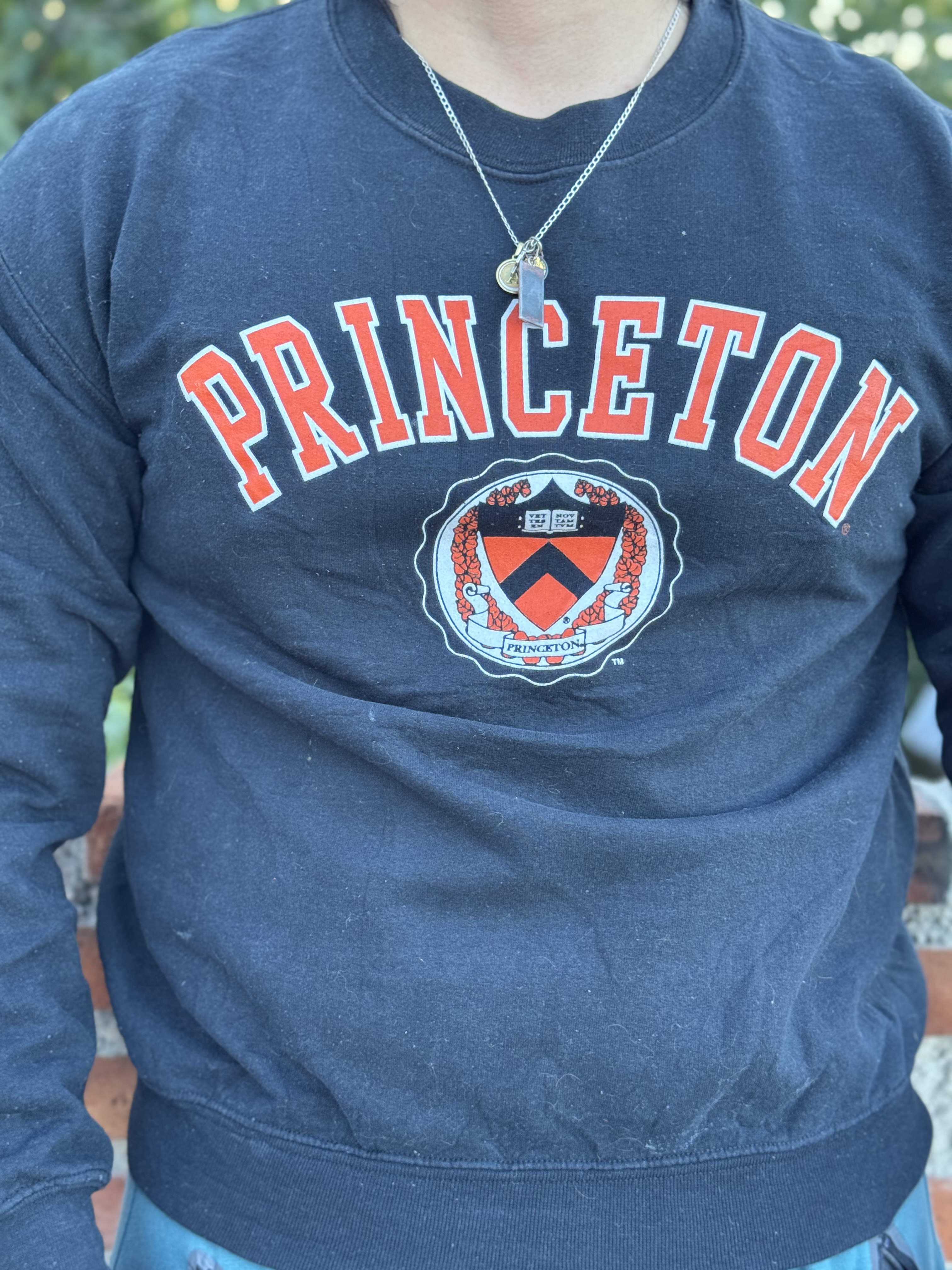 CREWNECK PRINCETON