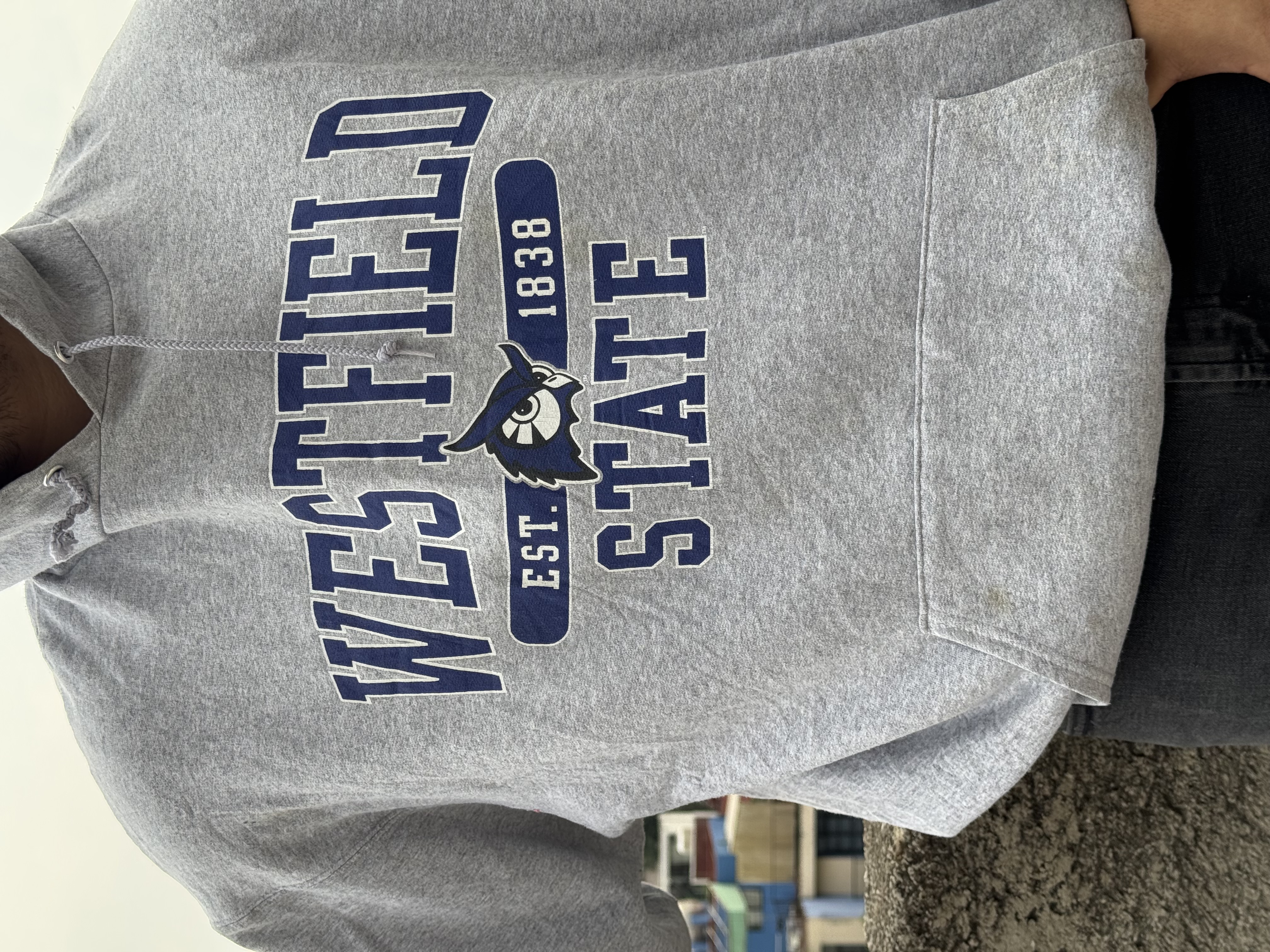 SUDADERA WESTFIELD STATE OWLS