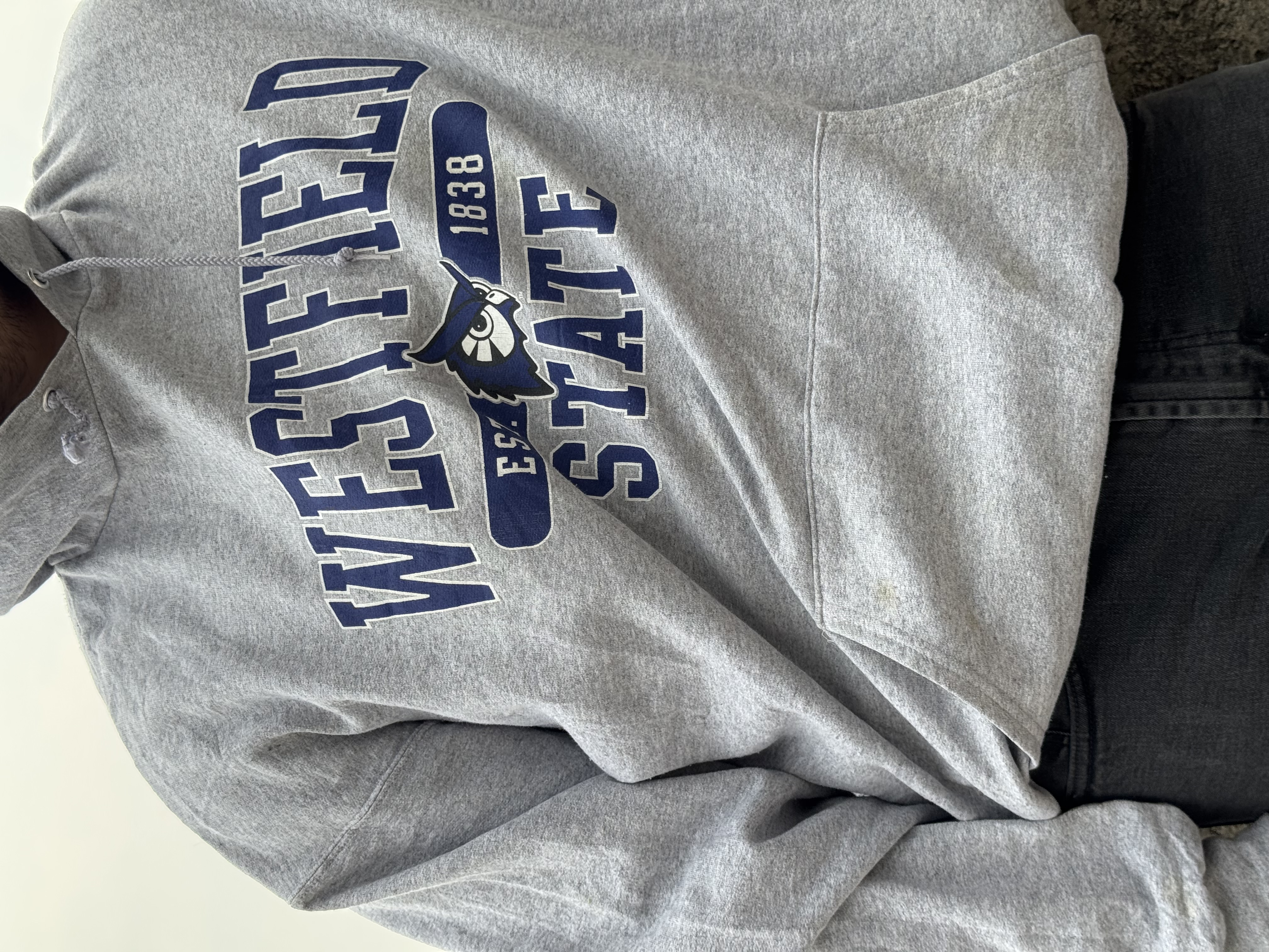 SUDADERA WESTFIELD STATE OWLS