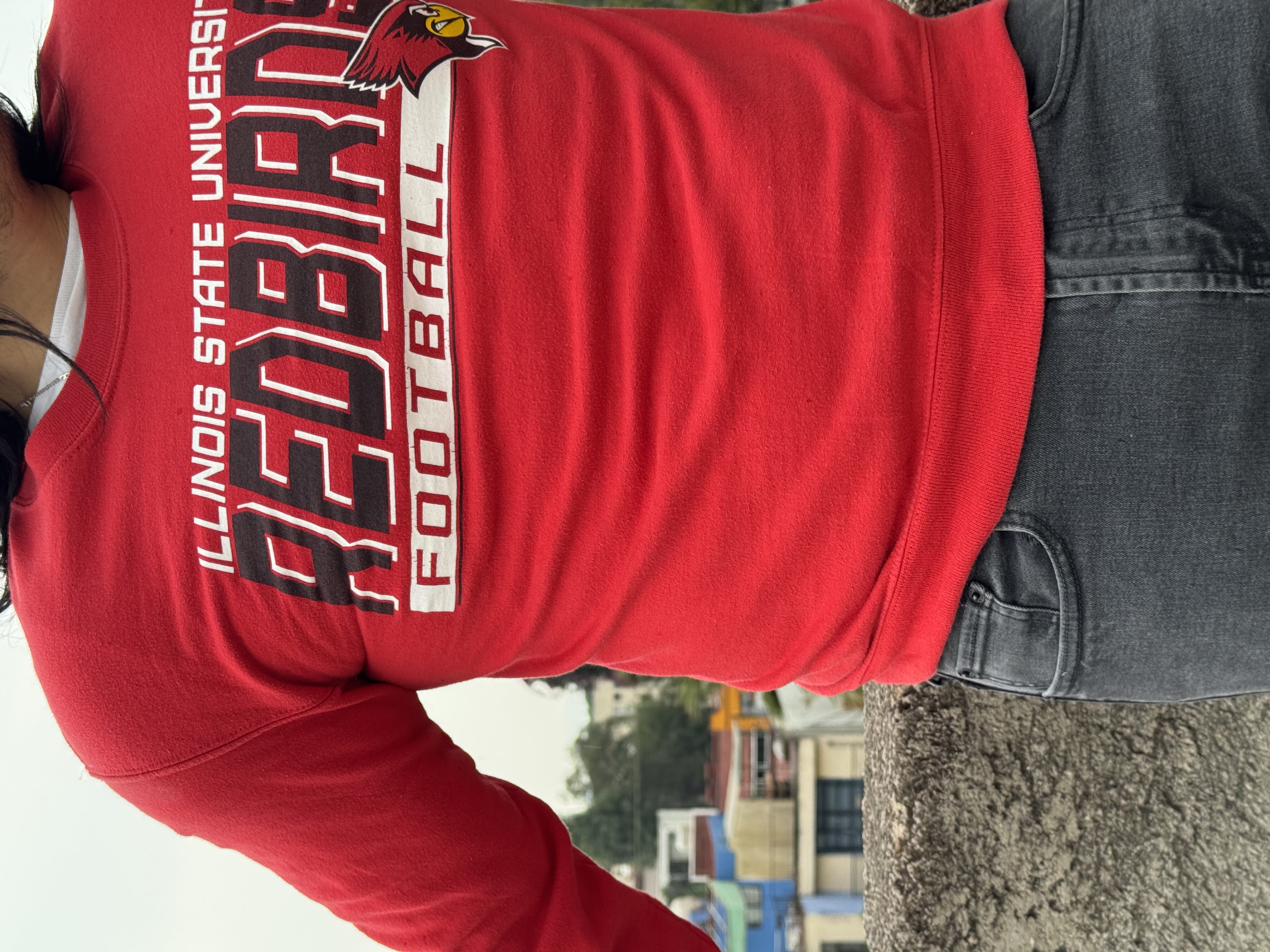 CREWNECK ILLINOIS STATE
