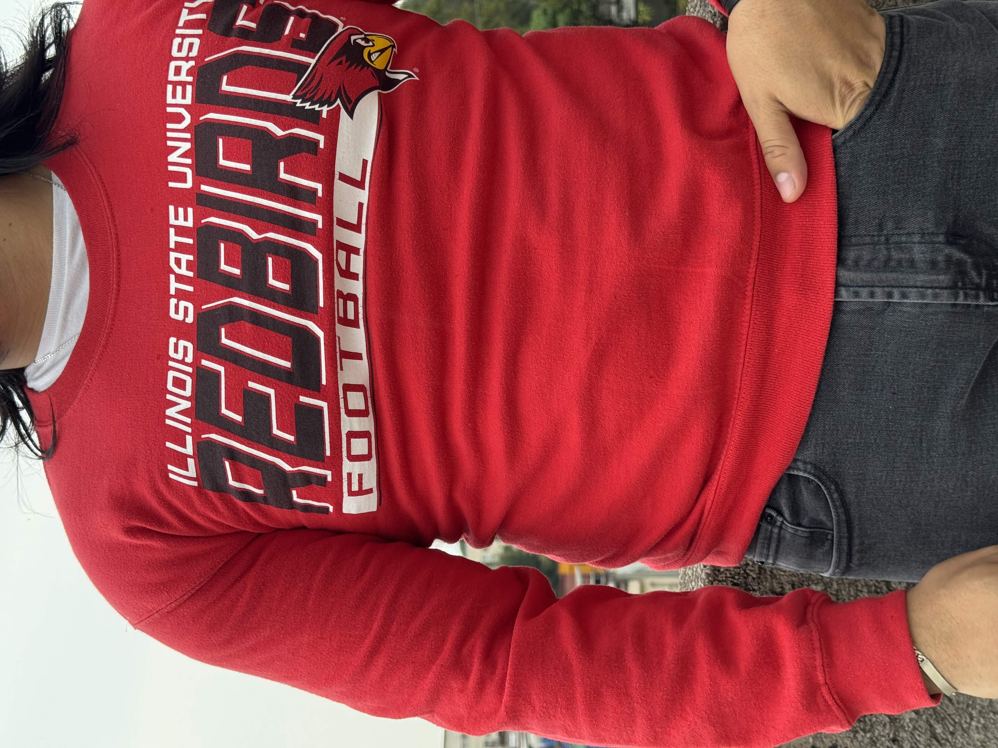CREWNECK ILLINOIS STATE