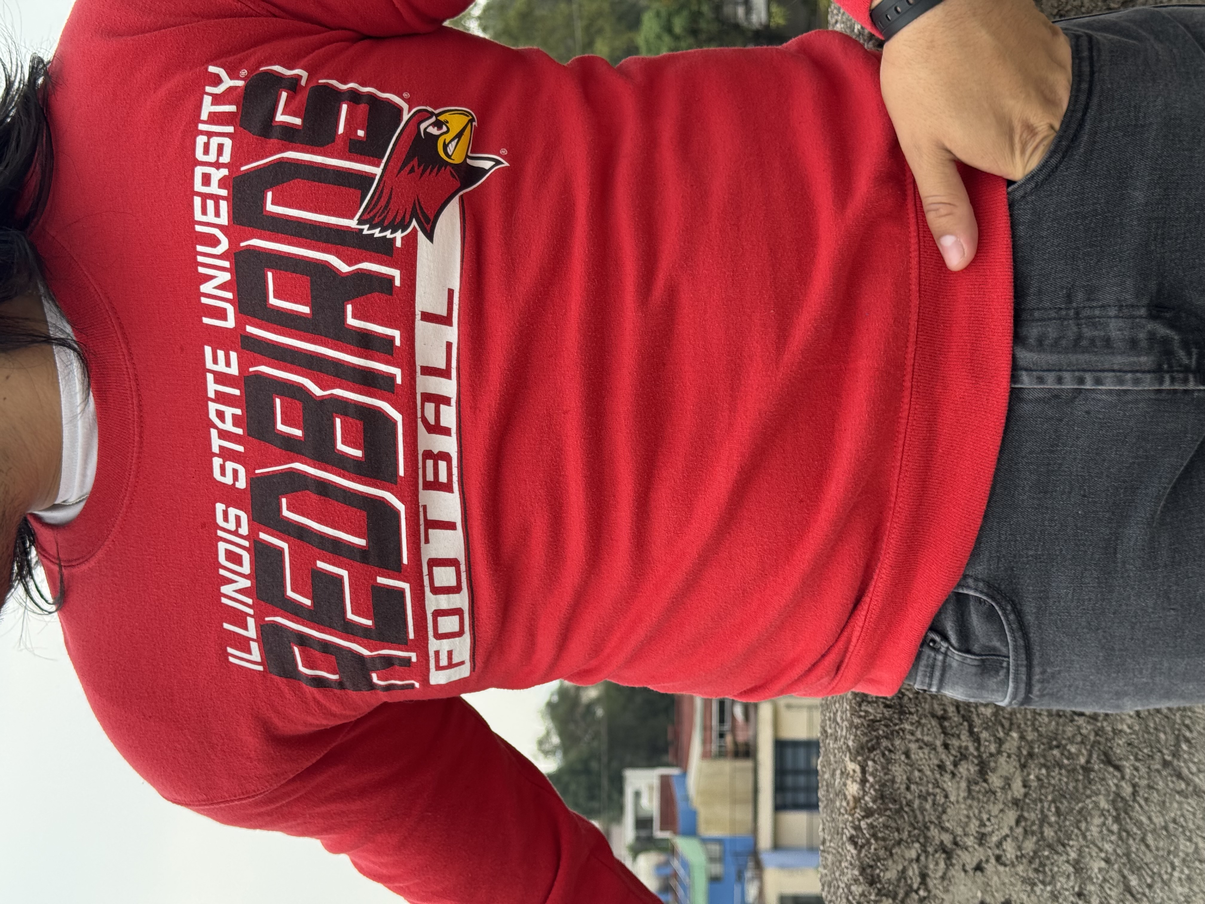 CREWNECK ILLINOIS STATE