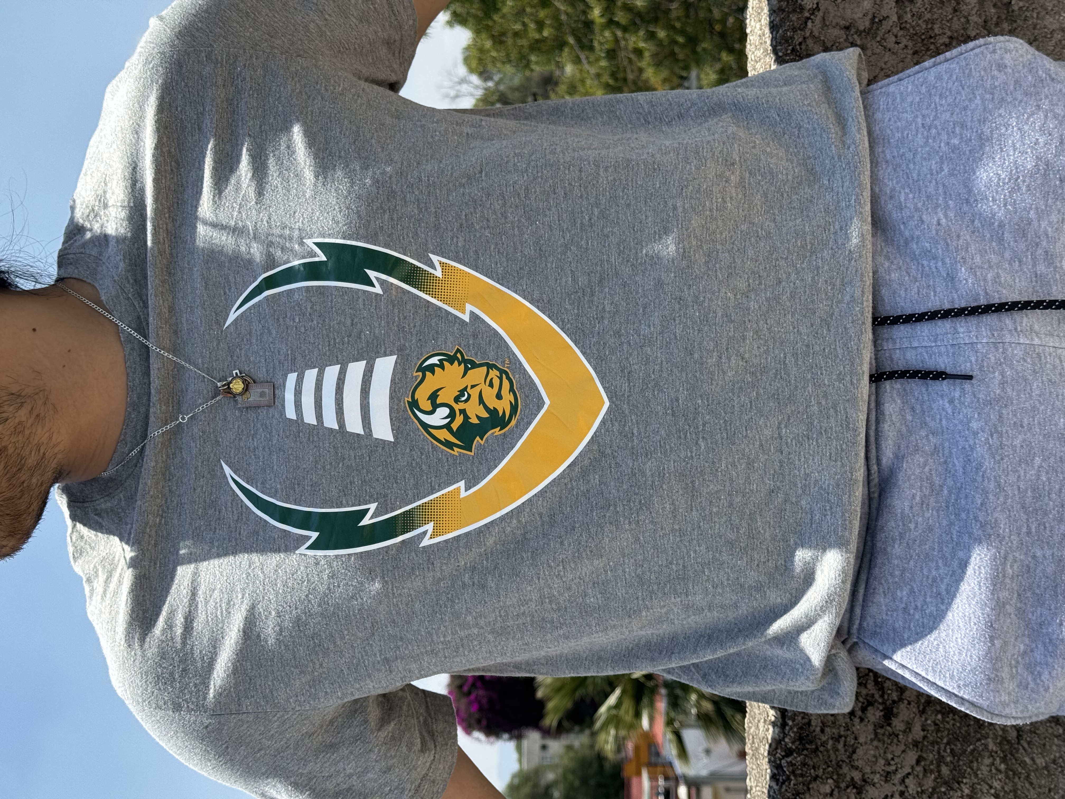 PLAYERS NDSU BISON