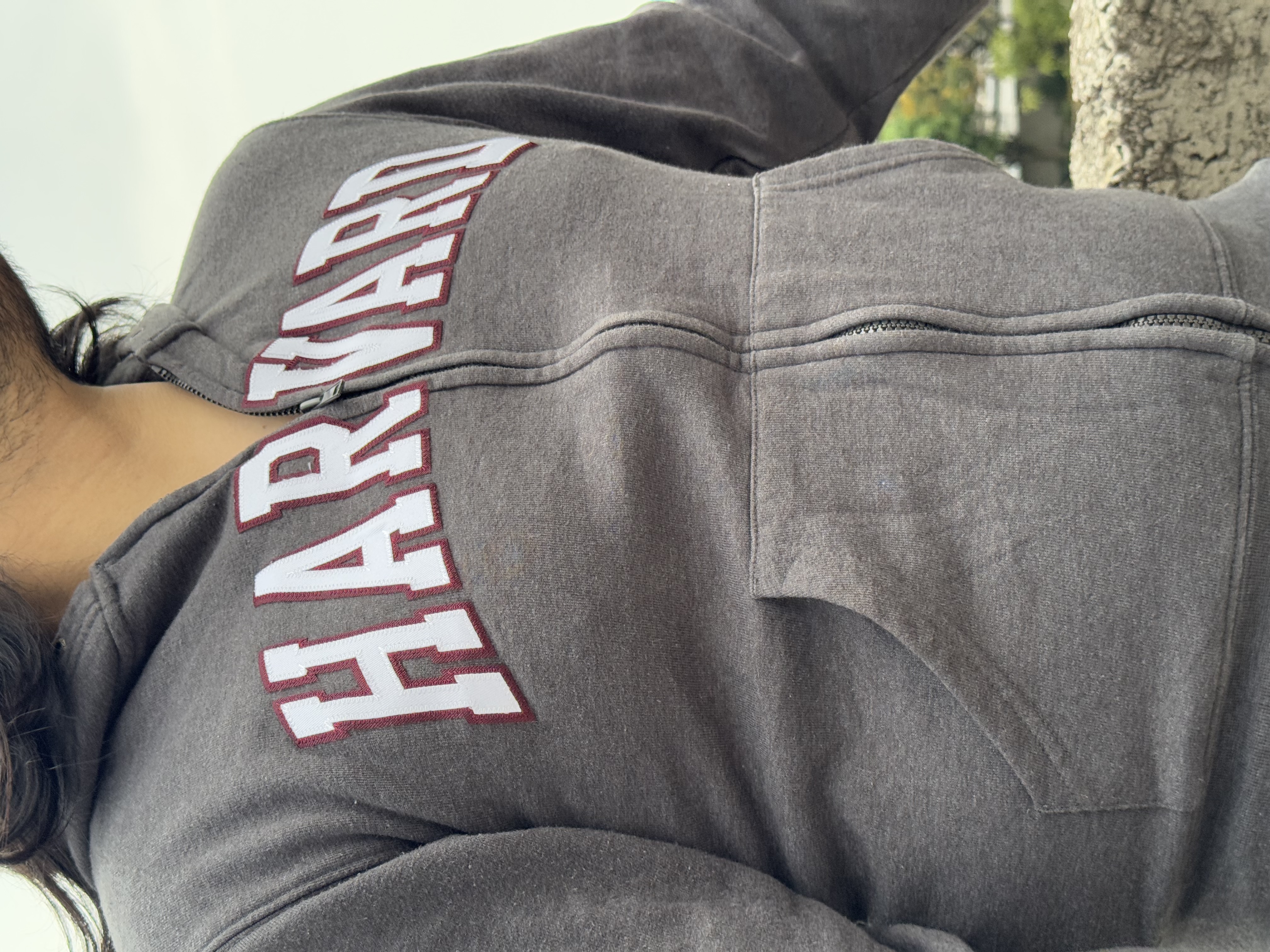CHAMARRA HARVARD