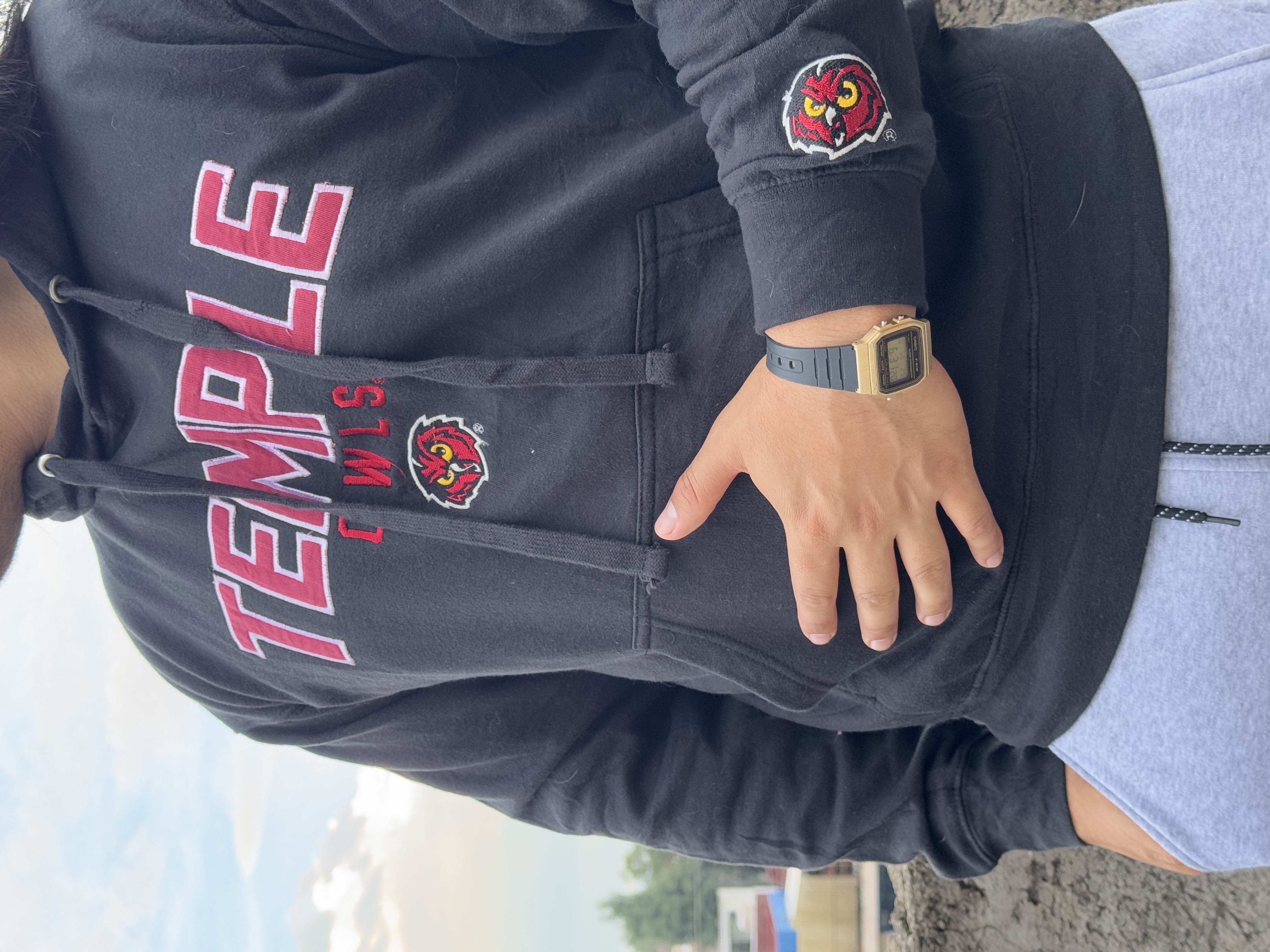 SUDADERA TEMPLE OWLS