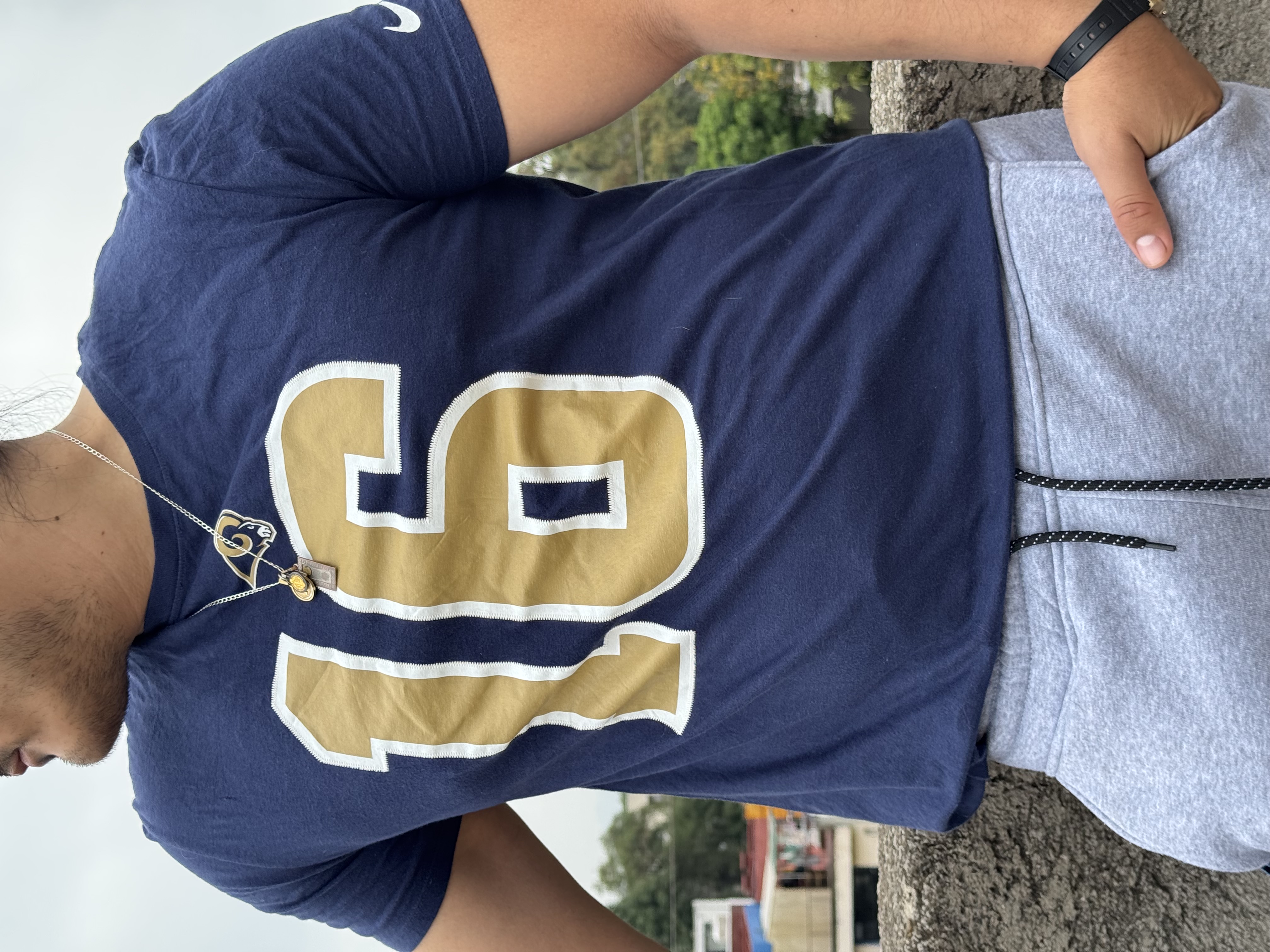 PLAYERA RAMS GOFF