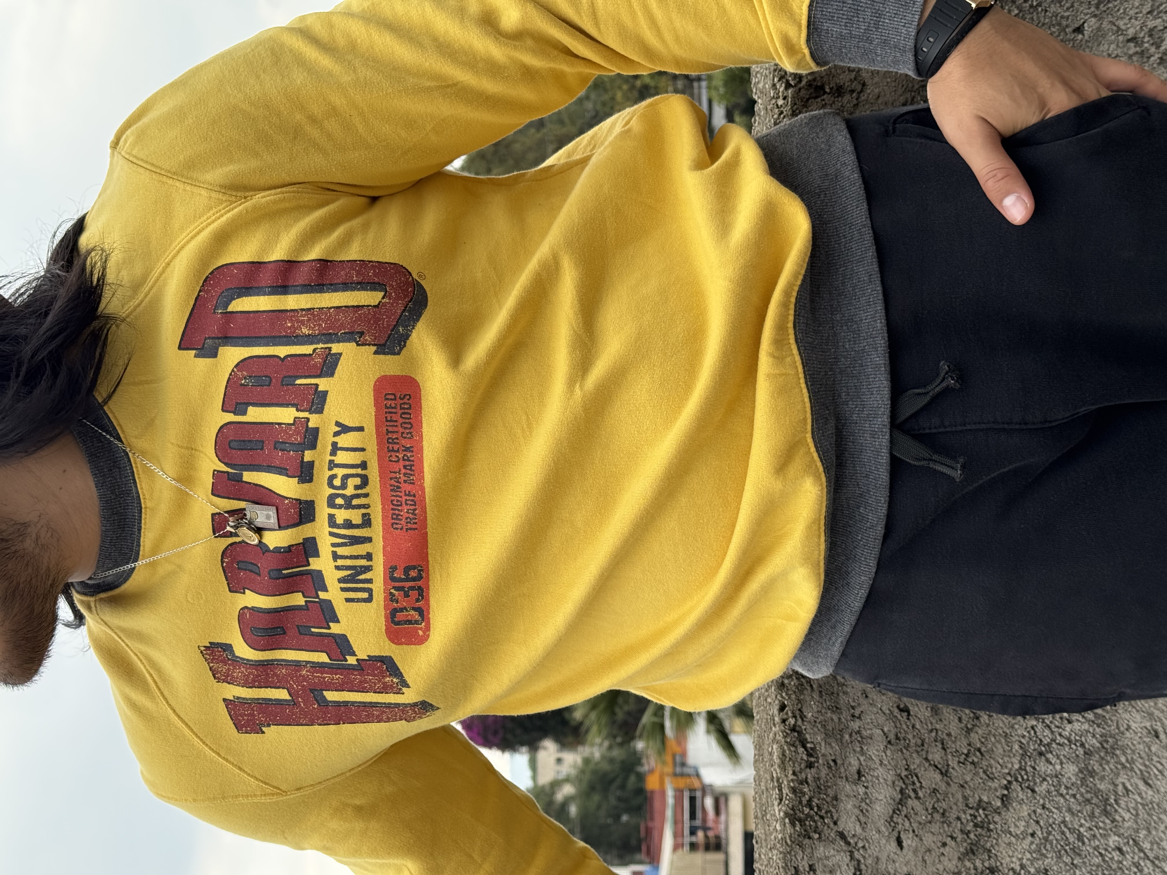 CREWNECK HARVARD