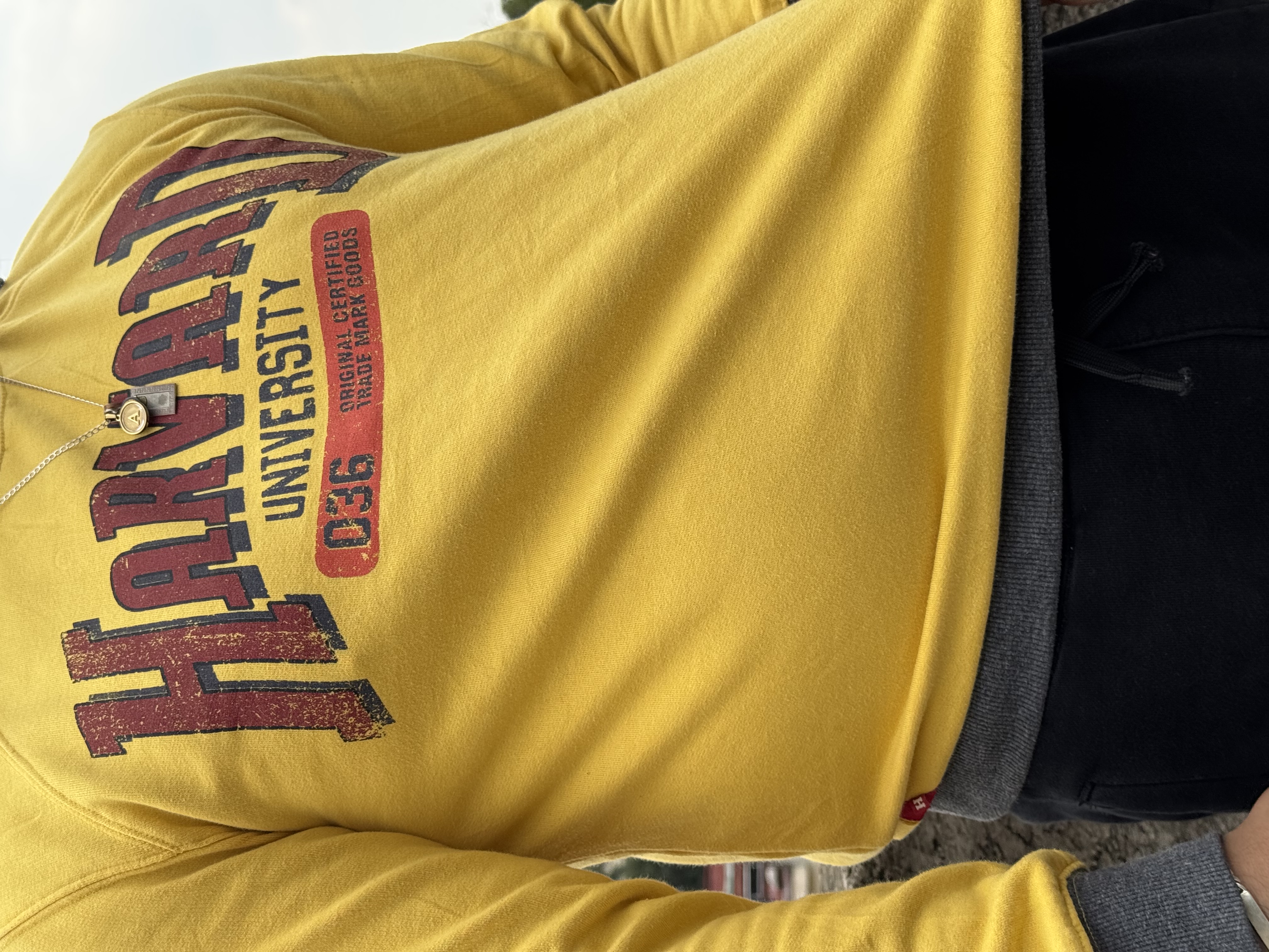 CREWNECK HARVARD