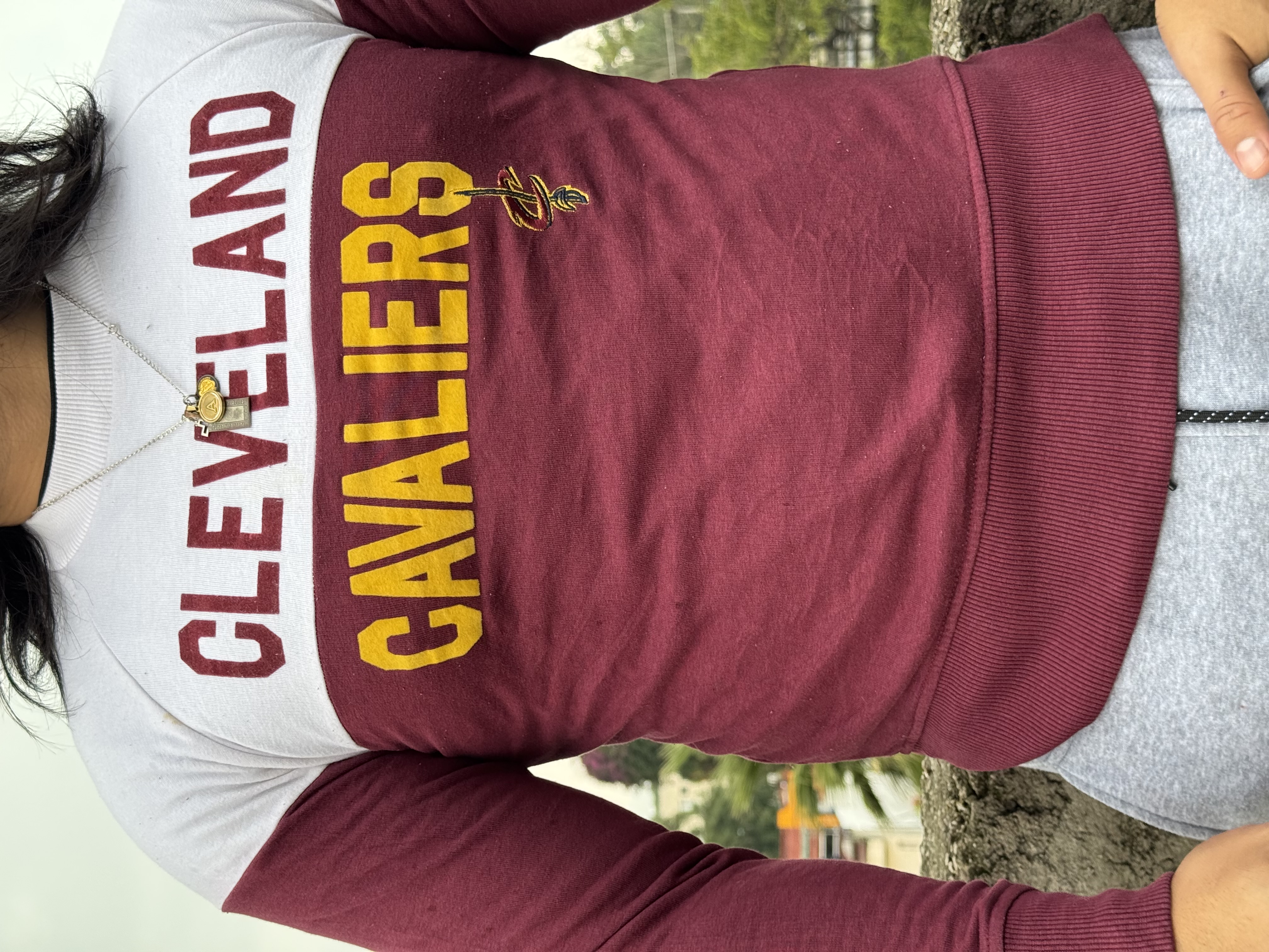 CREWNECK CAVALIERS