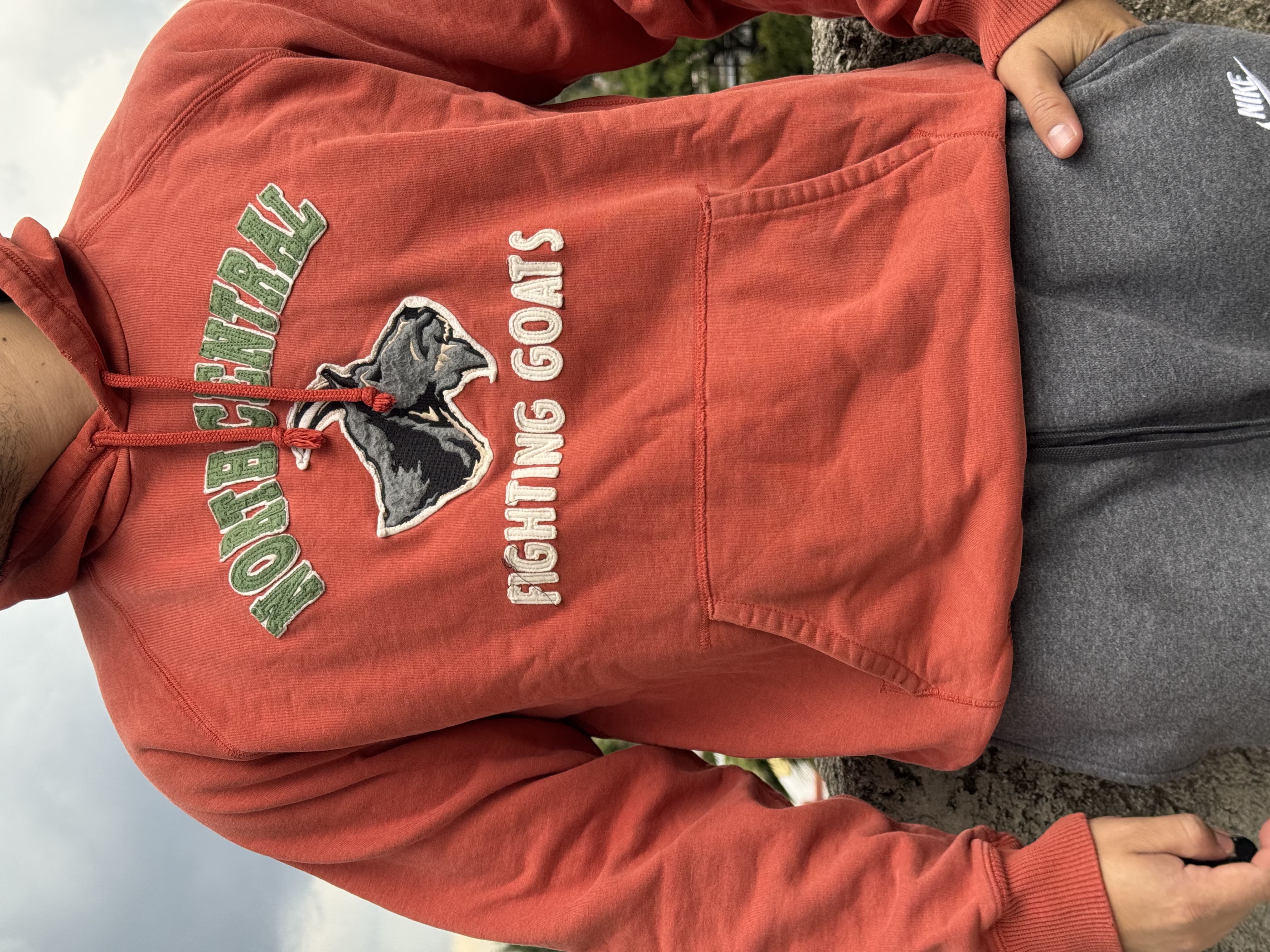 SUDADERA FIGHTING GOATS