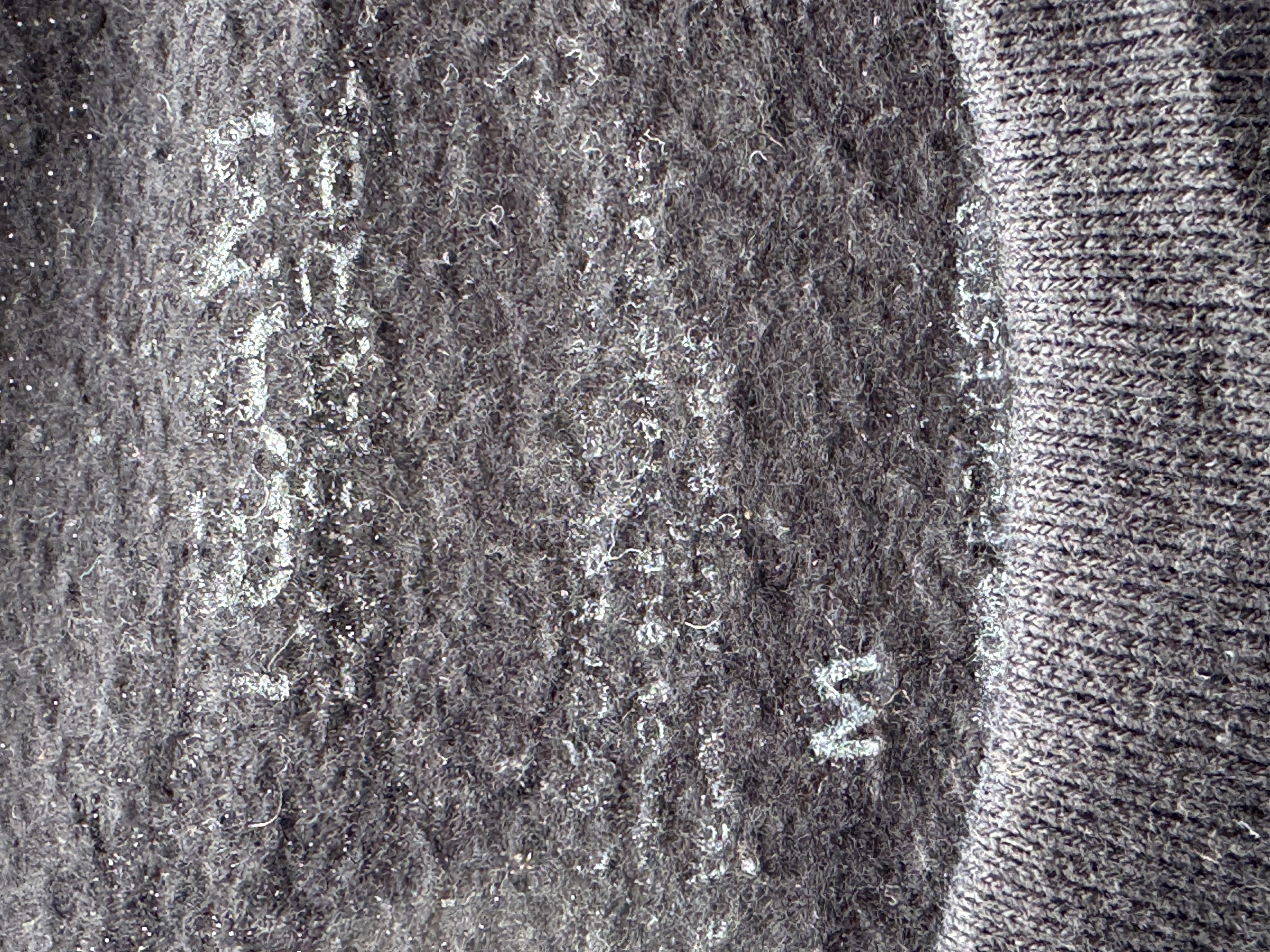 CREWNECK DETROIT LIONS