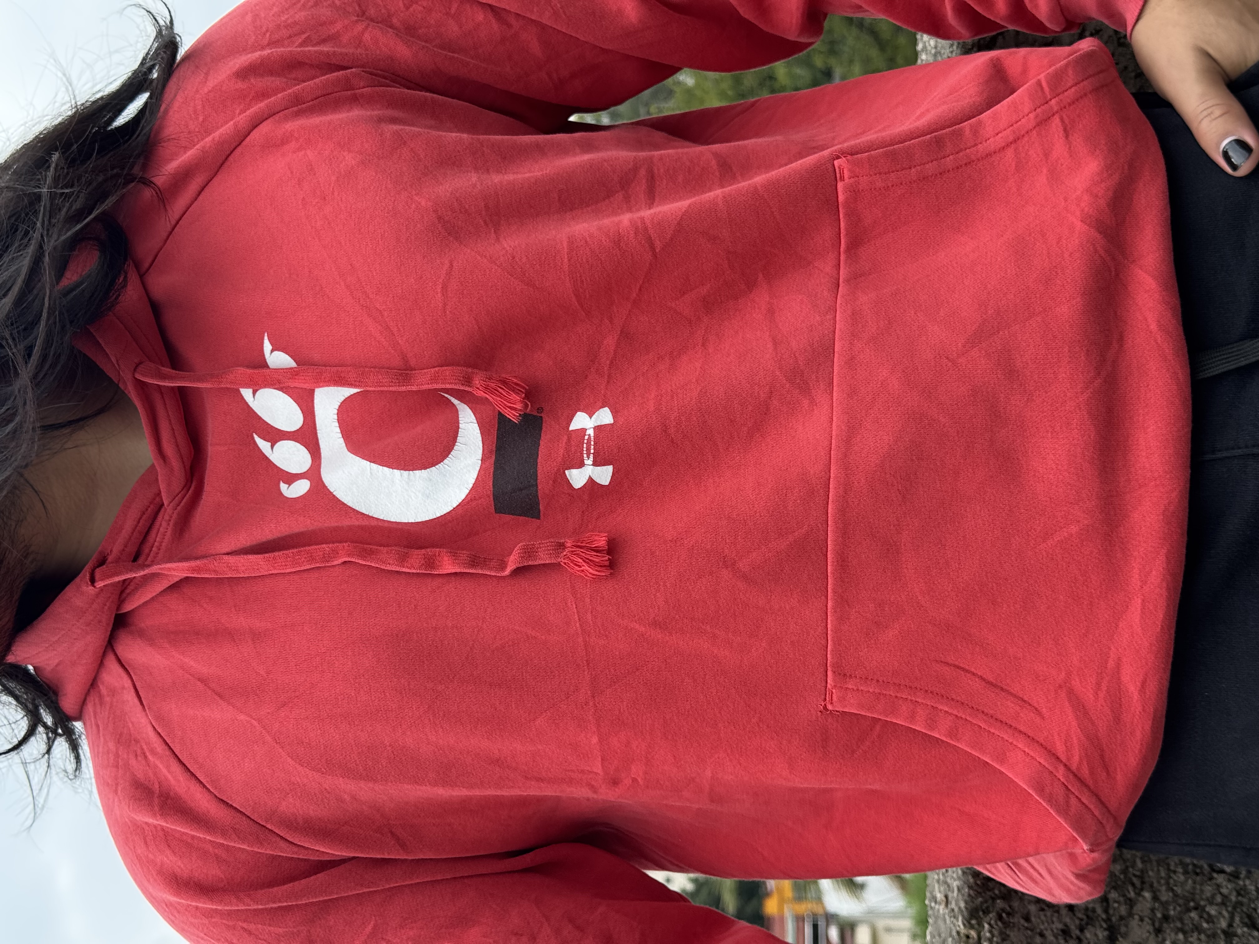 SUDADERA CINCINNATI BEARCATS