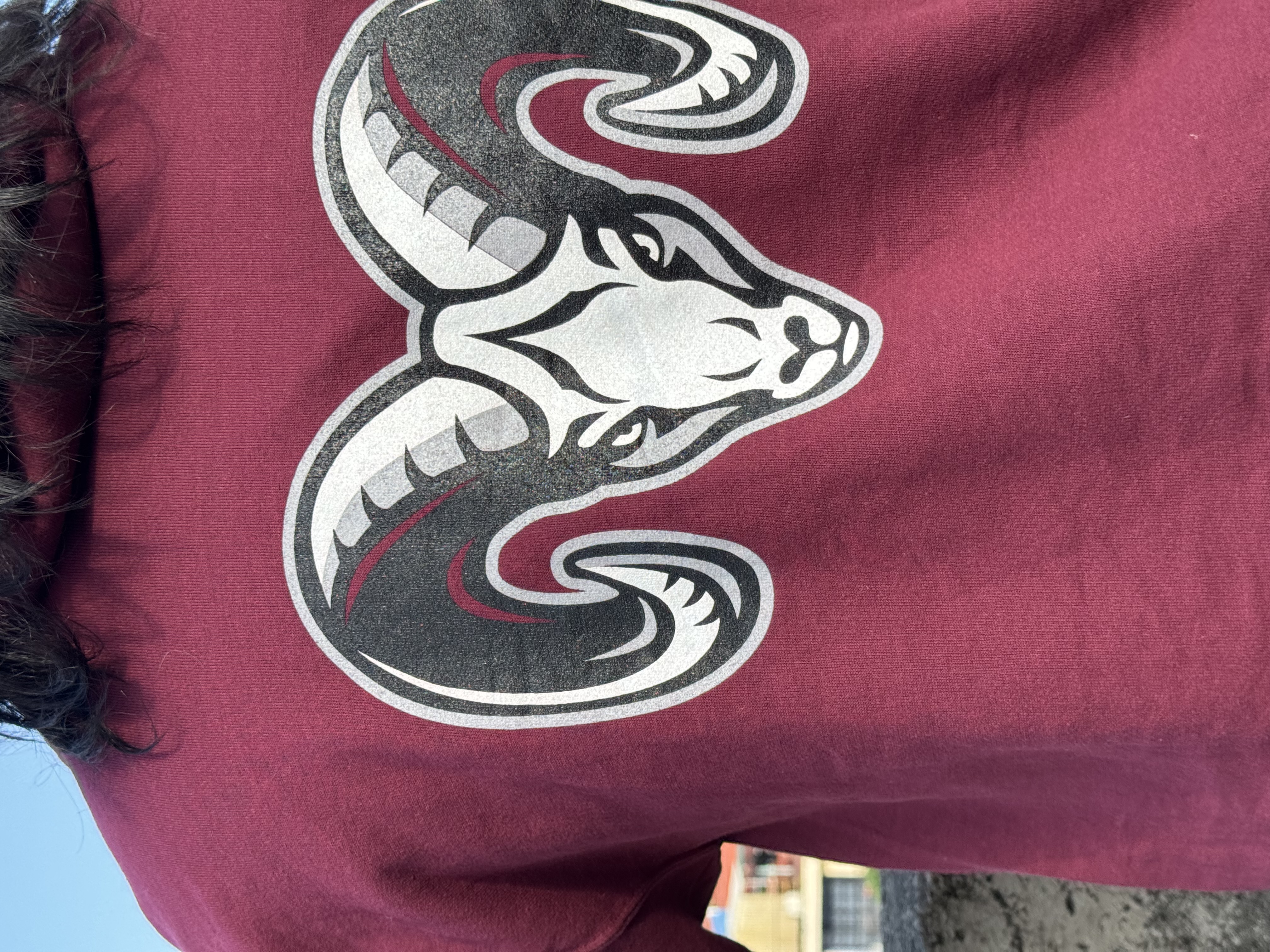 SUDADERA FORDHAM