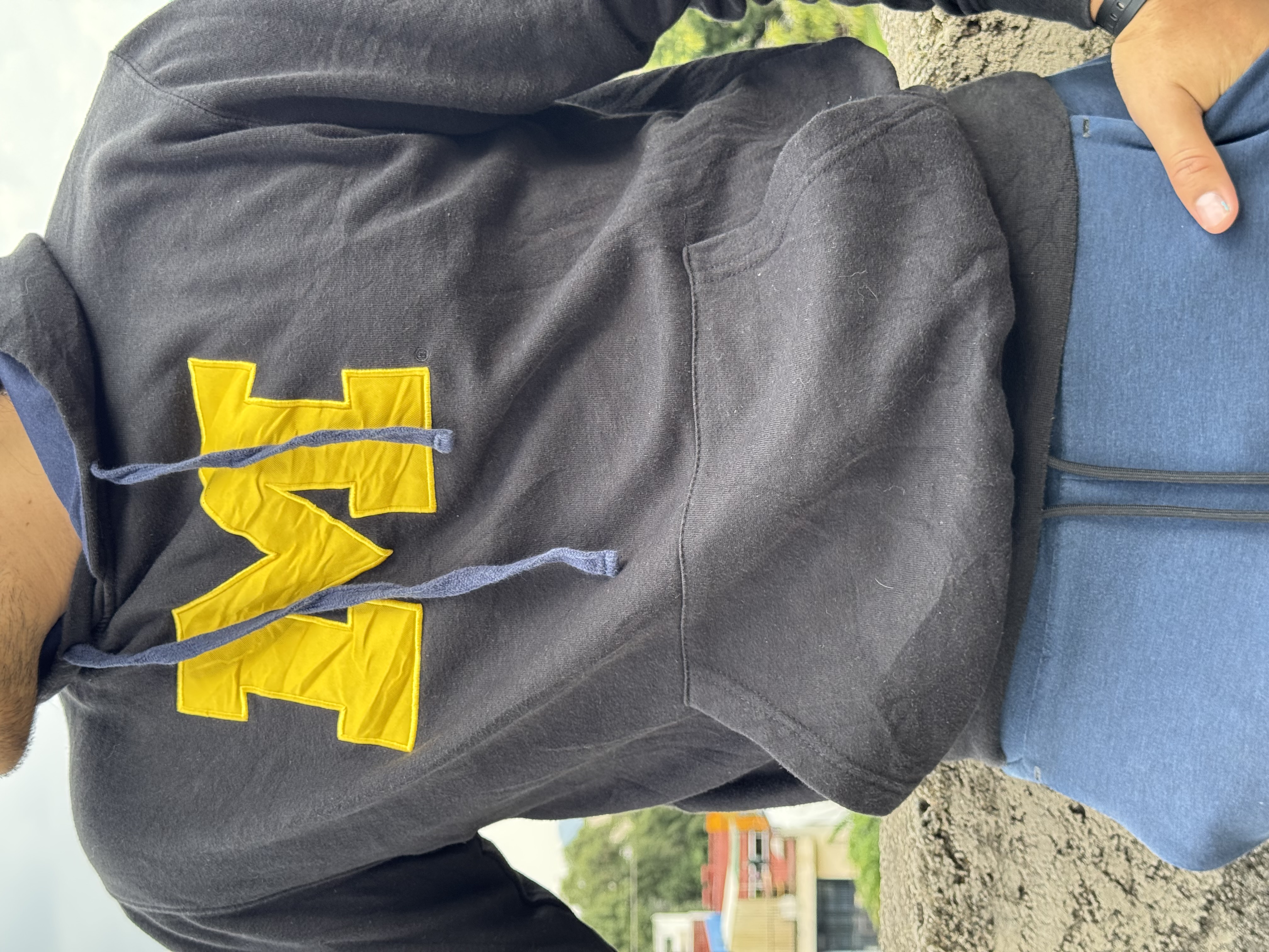 SUDADERA MICHIGAN WOLVERINES