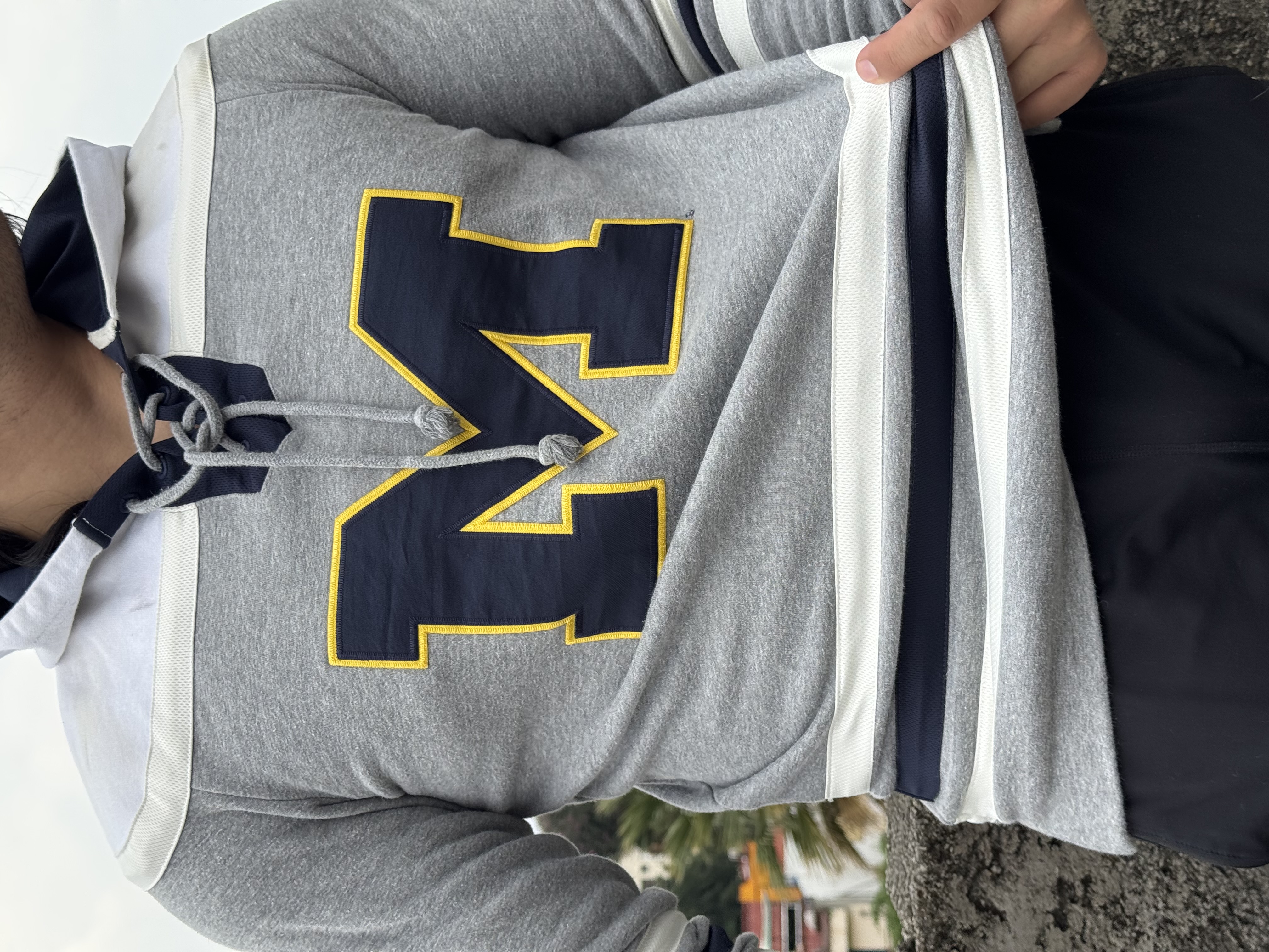 SUDADERA MICHIGAN HOCKEY
