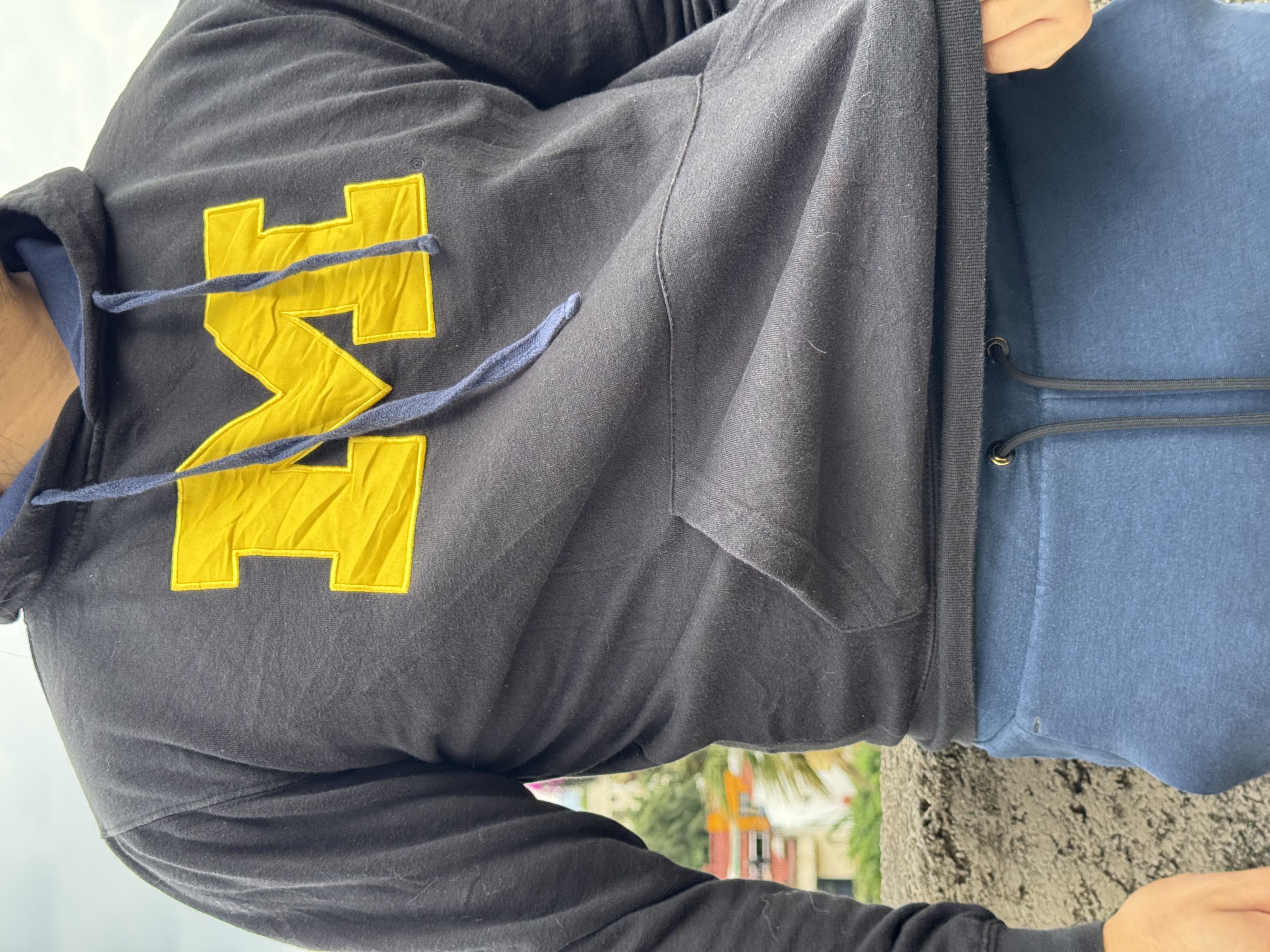 SUDADERA MICHIGAN WOLVERINES
