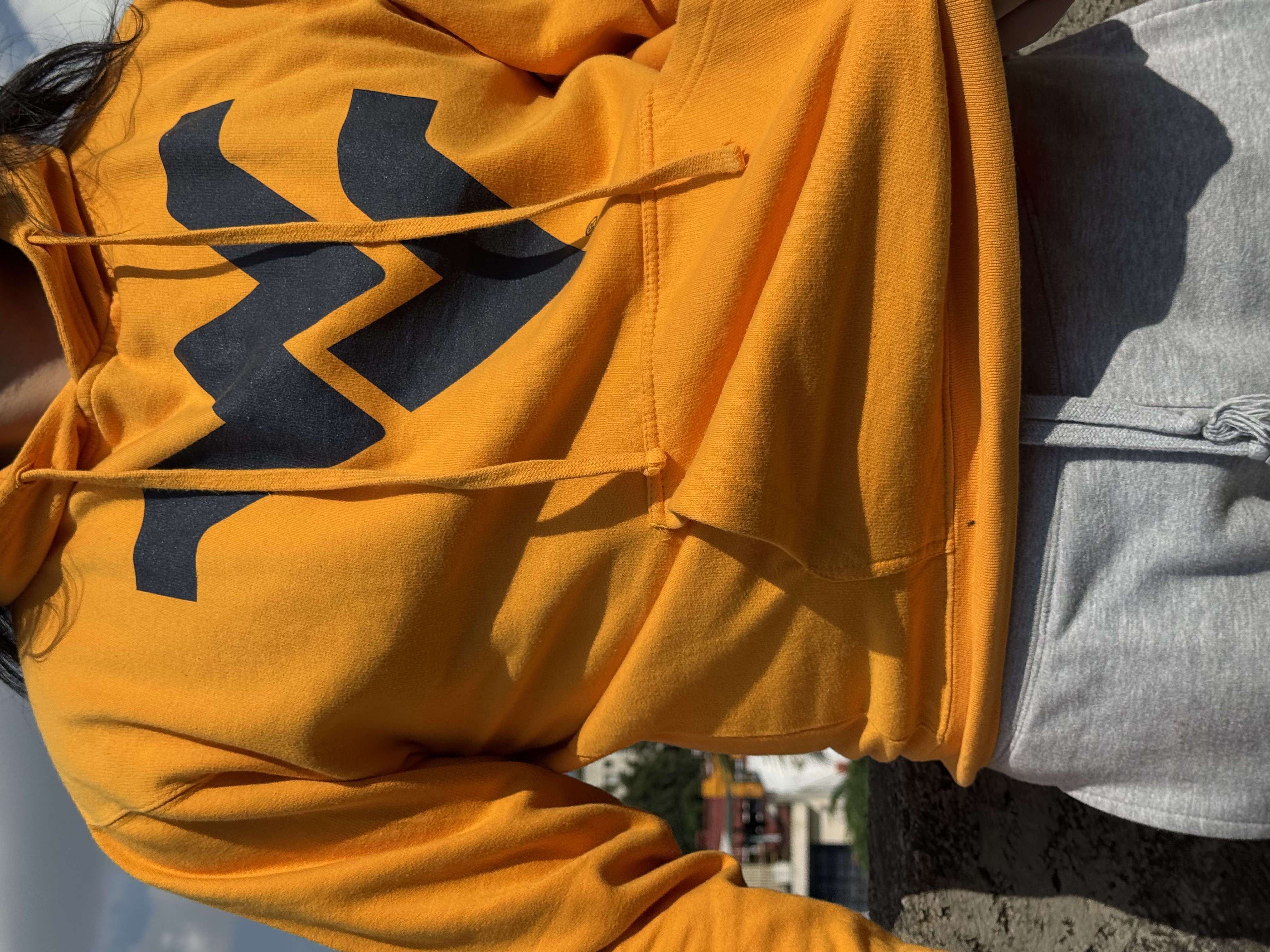 SUDADERA WEST VIRGINIA