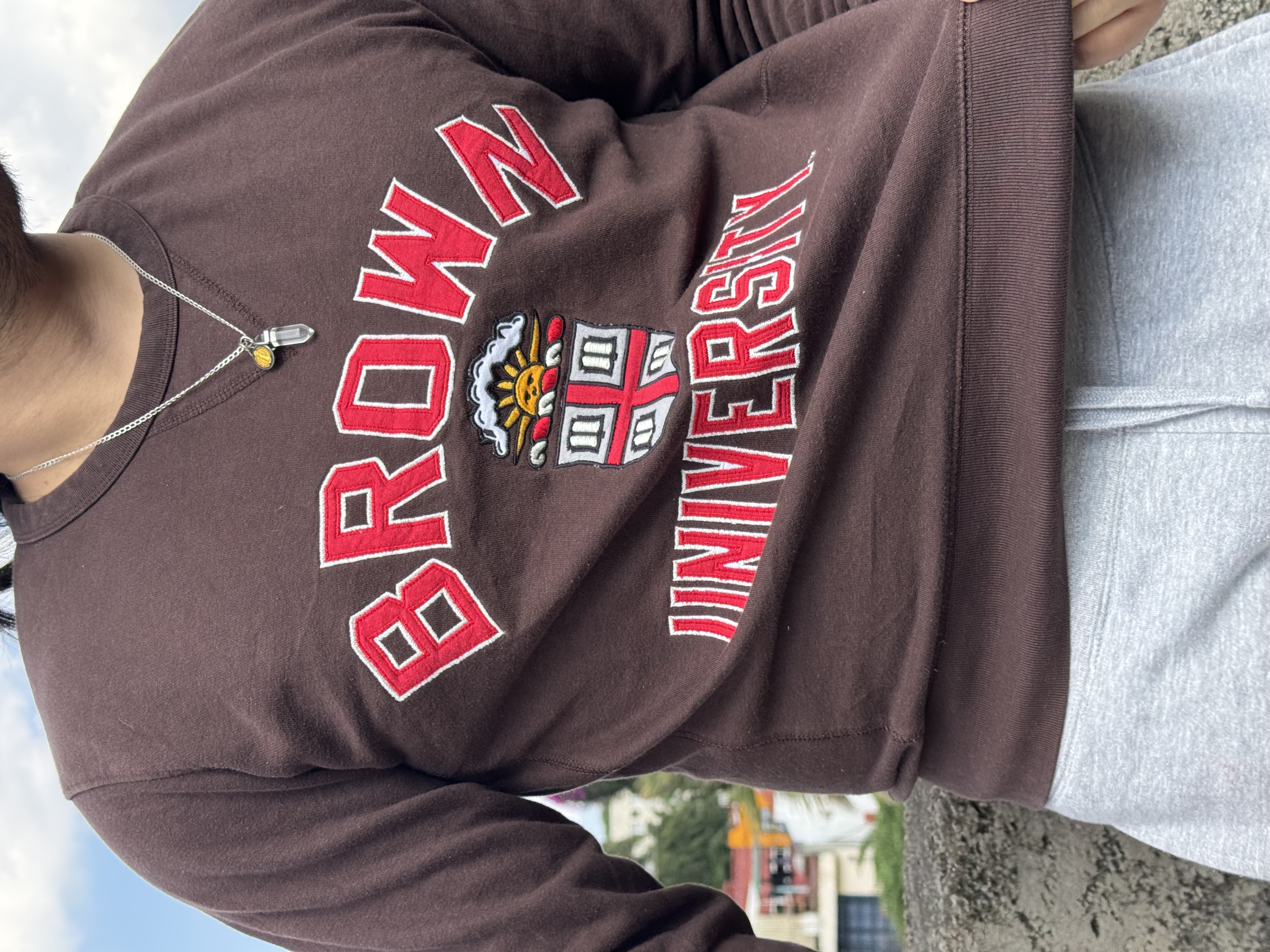 CREWNECK BROWN 