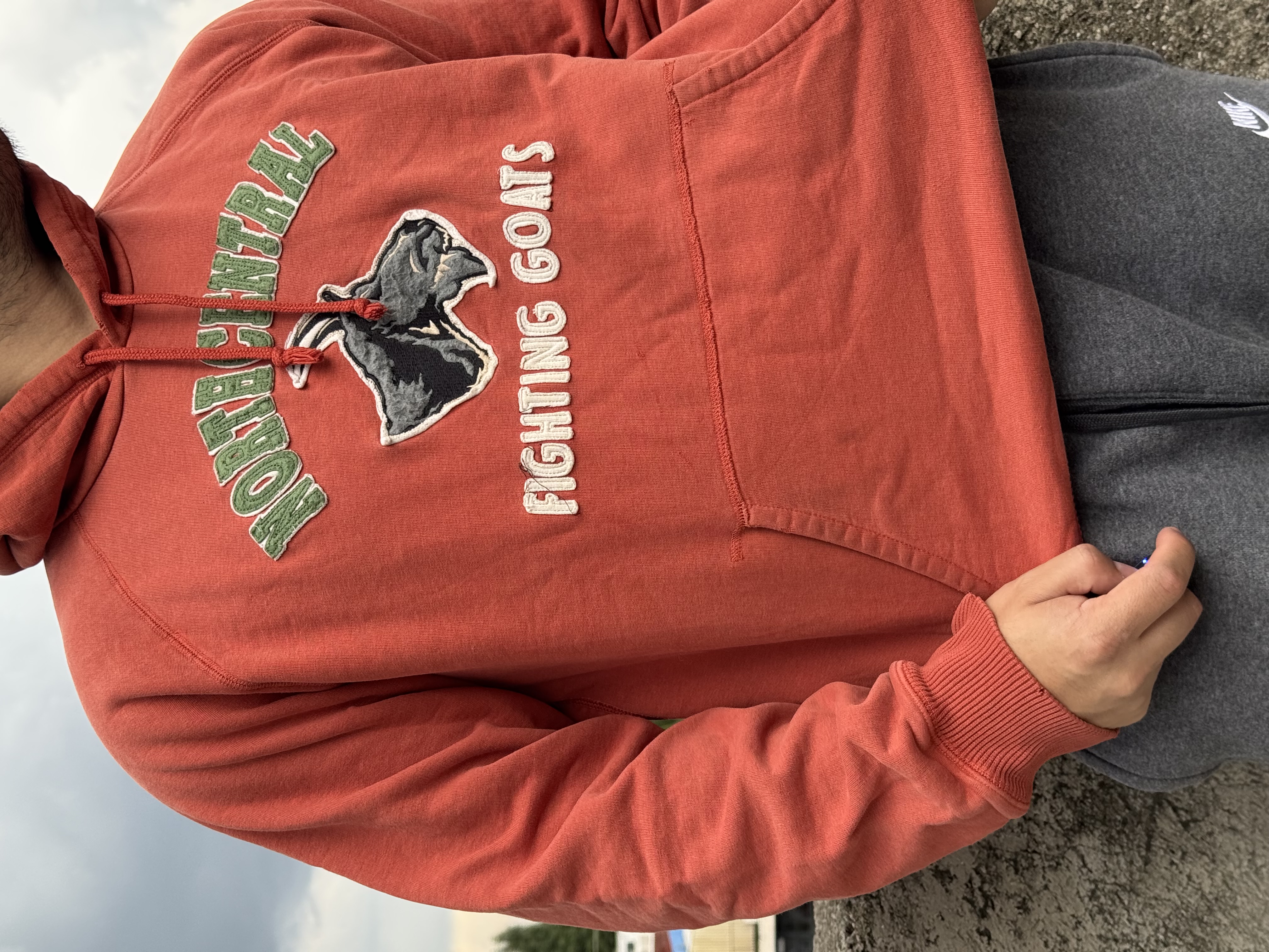 SUDADERA FIGHTING GOATS