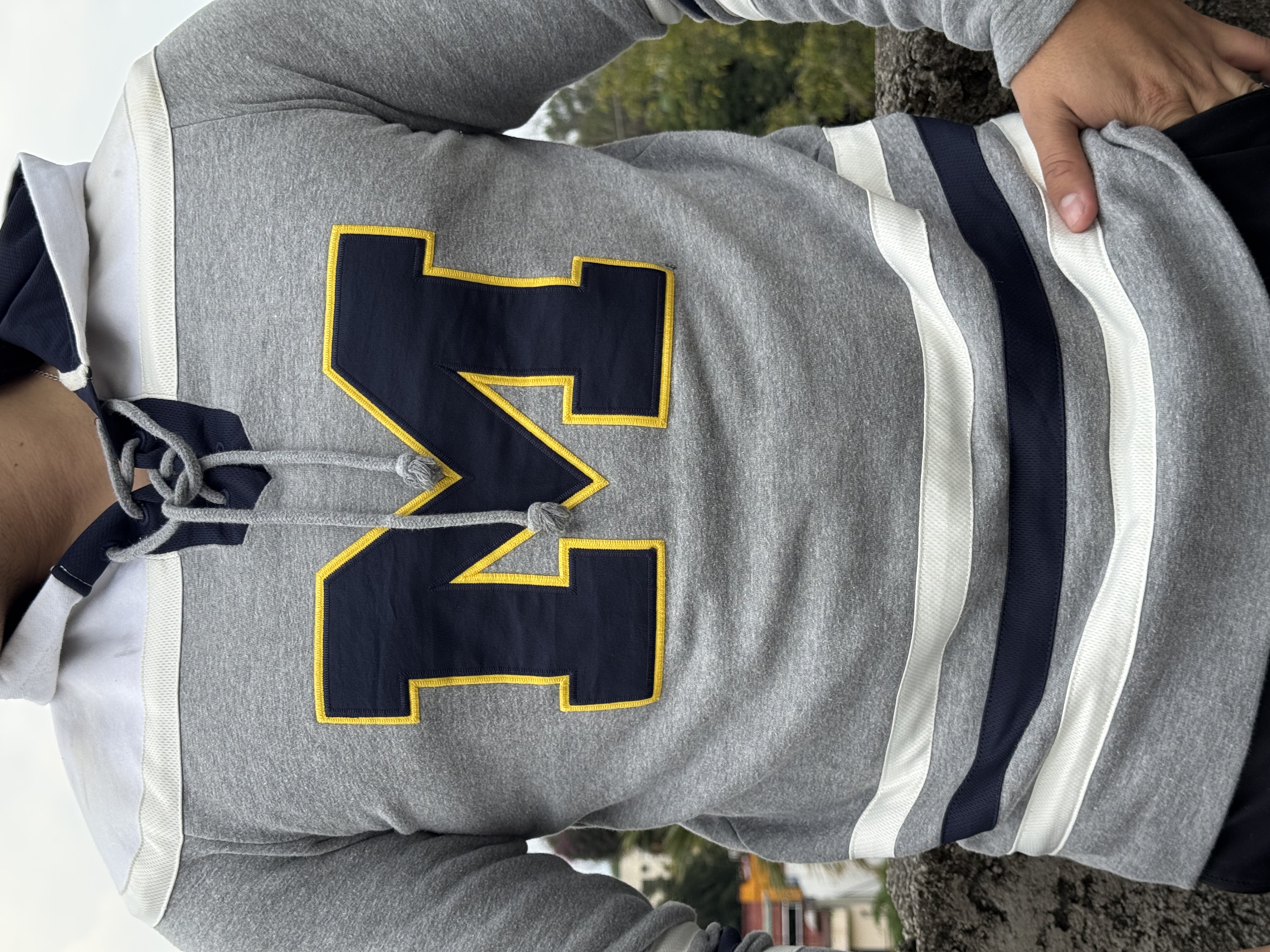 SUDADERA MICHIGAN HOCKEY