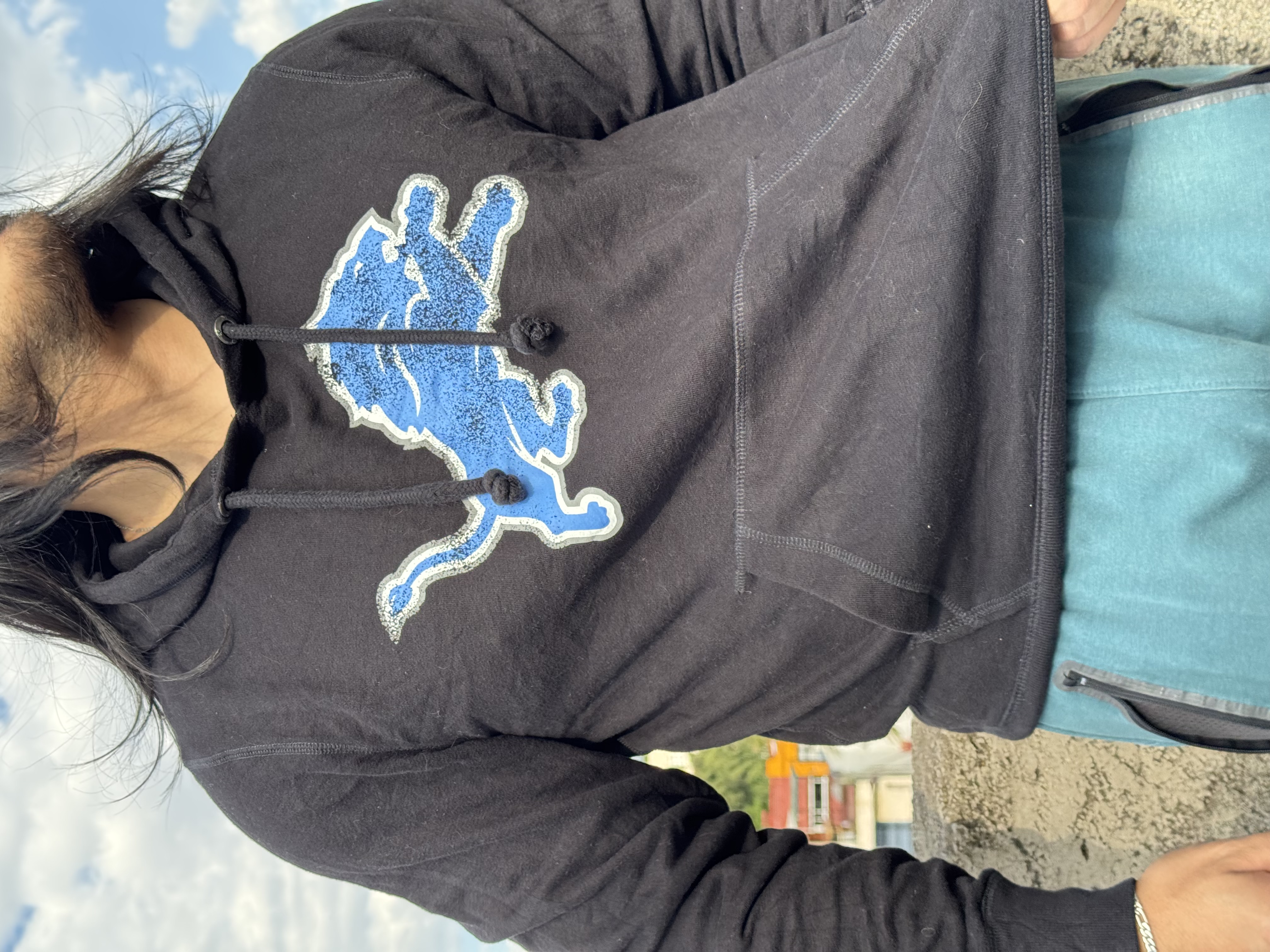 SUDADERA LIONS