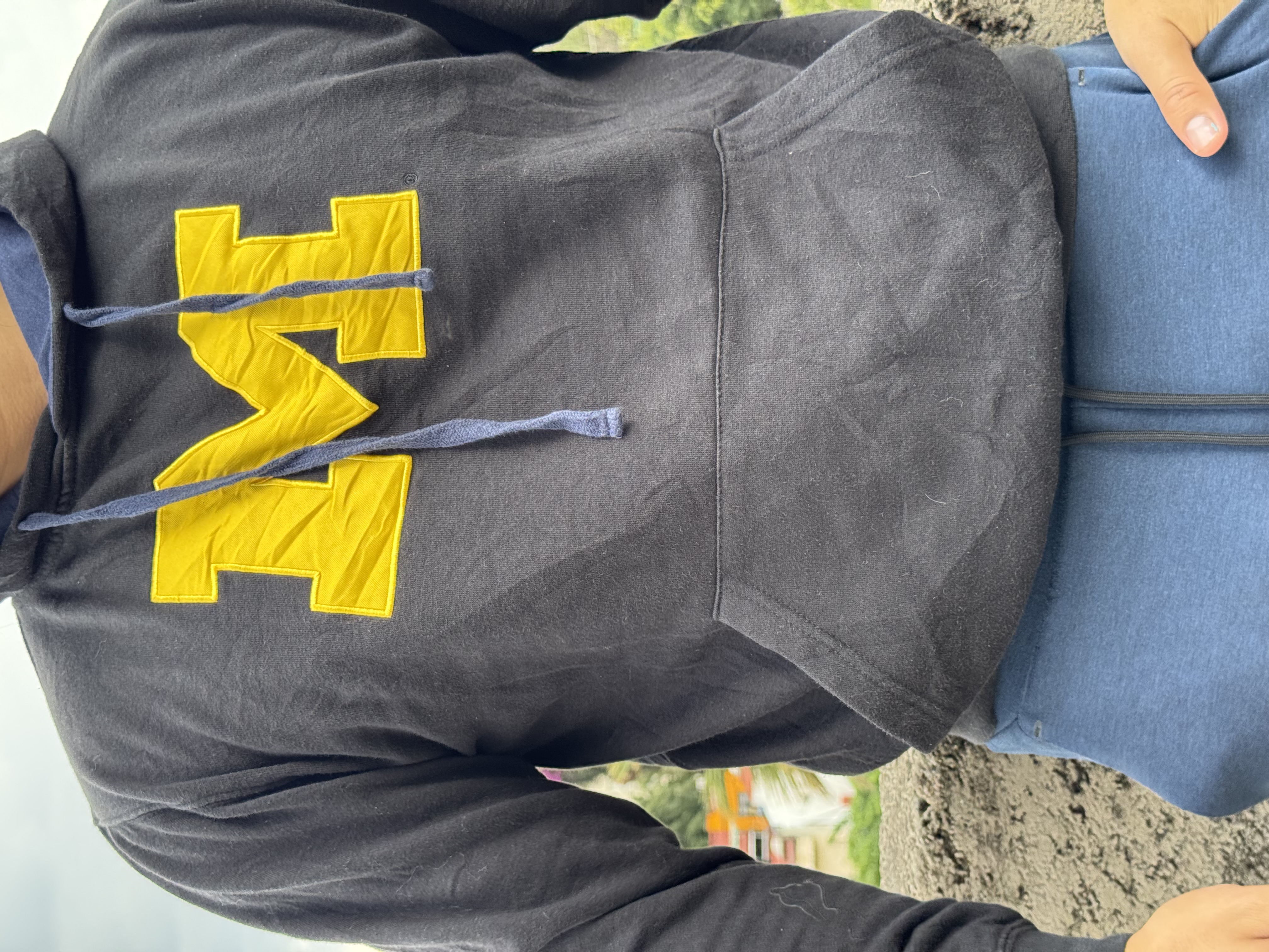 SUDADERA MICHIGAN WOLVERINES