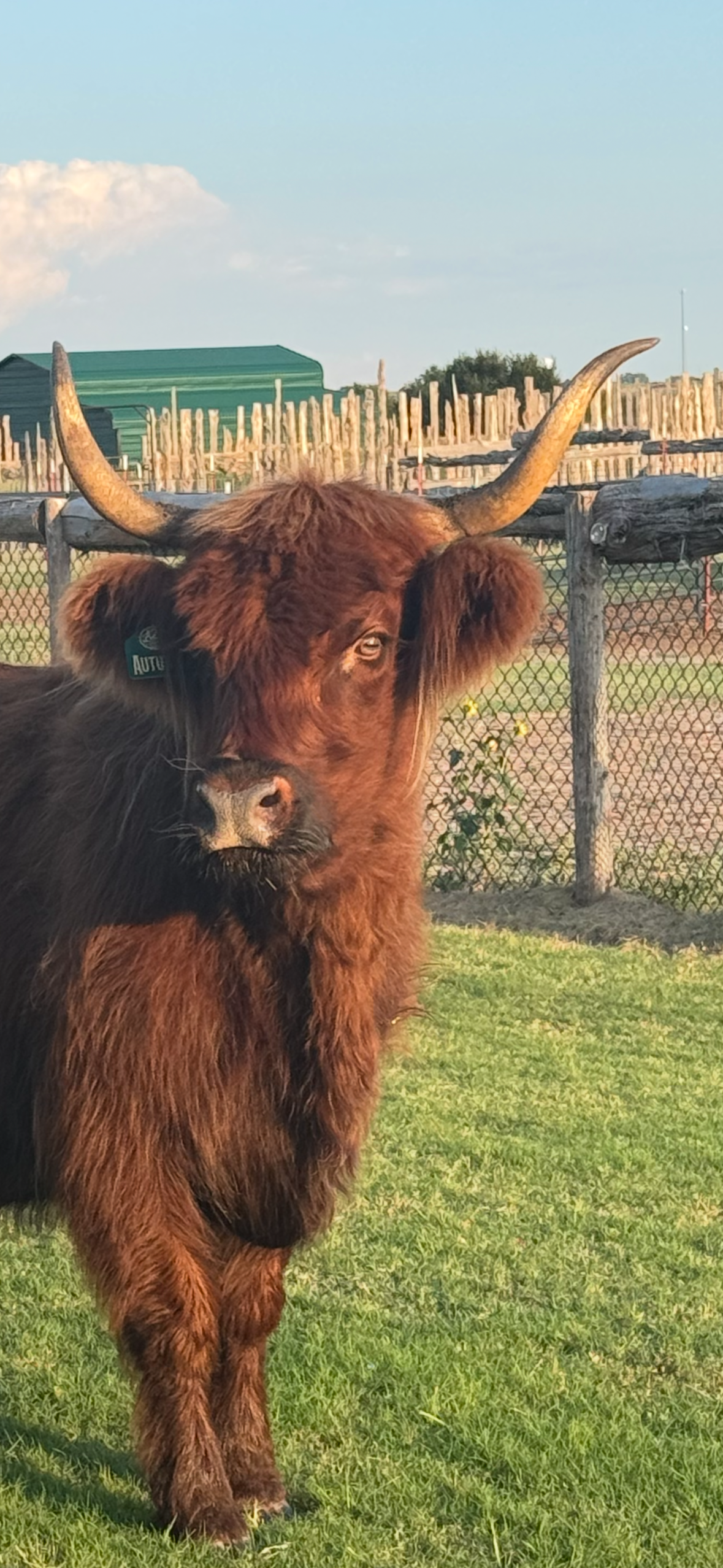 VFR Autumn x STR Armageddon