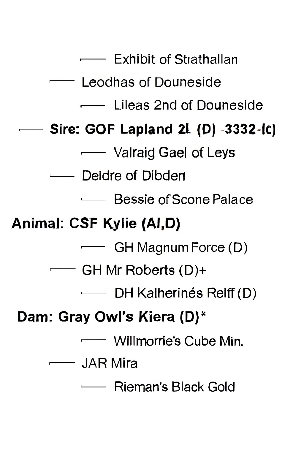 CSF Kylie x STR Armageddon