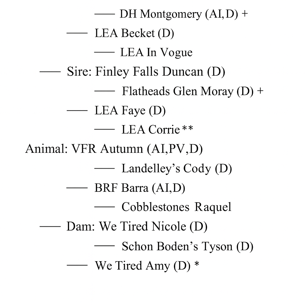 VFR Autumn x LSR Orion 