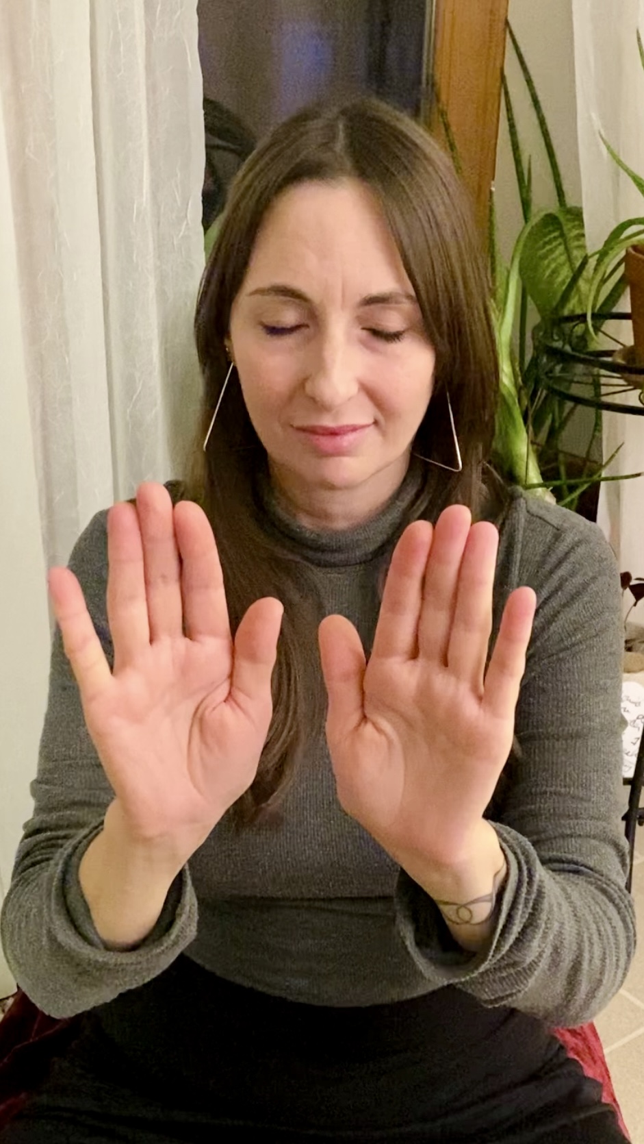  In-Person Reiki Session ~ 60 min.