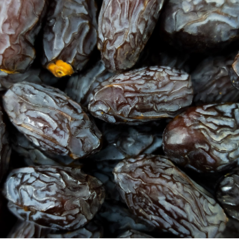 KURMA MEDJOUL PALESTINE