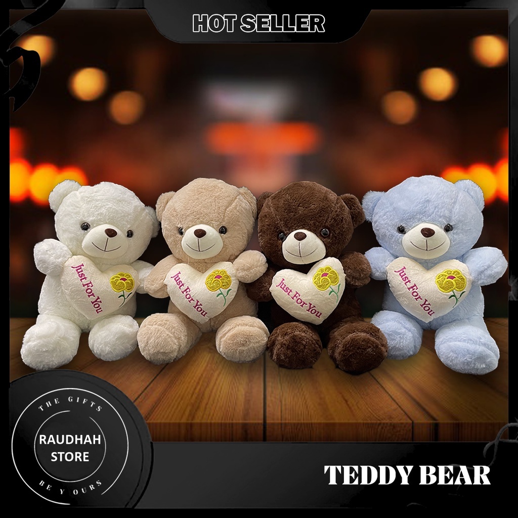 Cute Bear birthday Present Teddy Bear Light Blue Love Pillow With Just For You