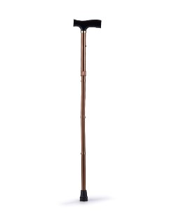 Cane