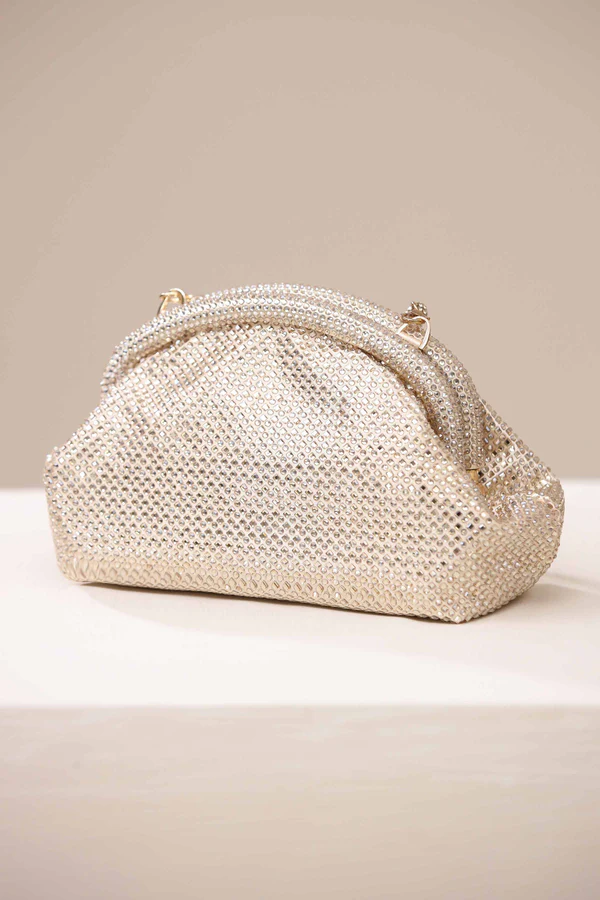 Silver Mesh Evening Bag