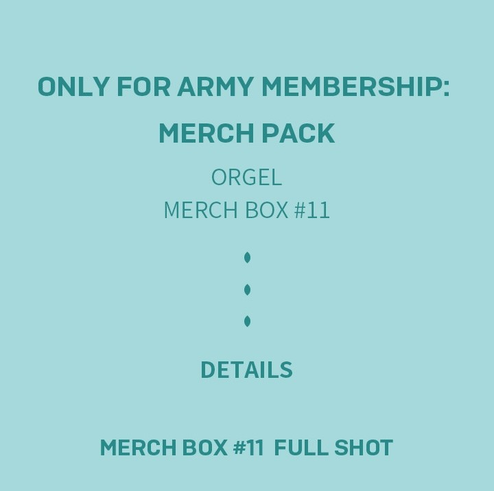 BTS MERCH BOX #11 - CARRUSEL