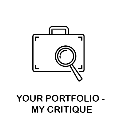 Portfolio critique
