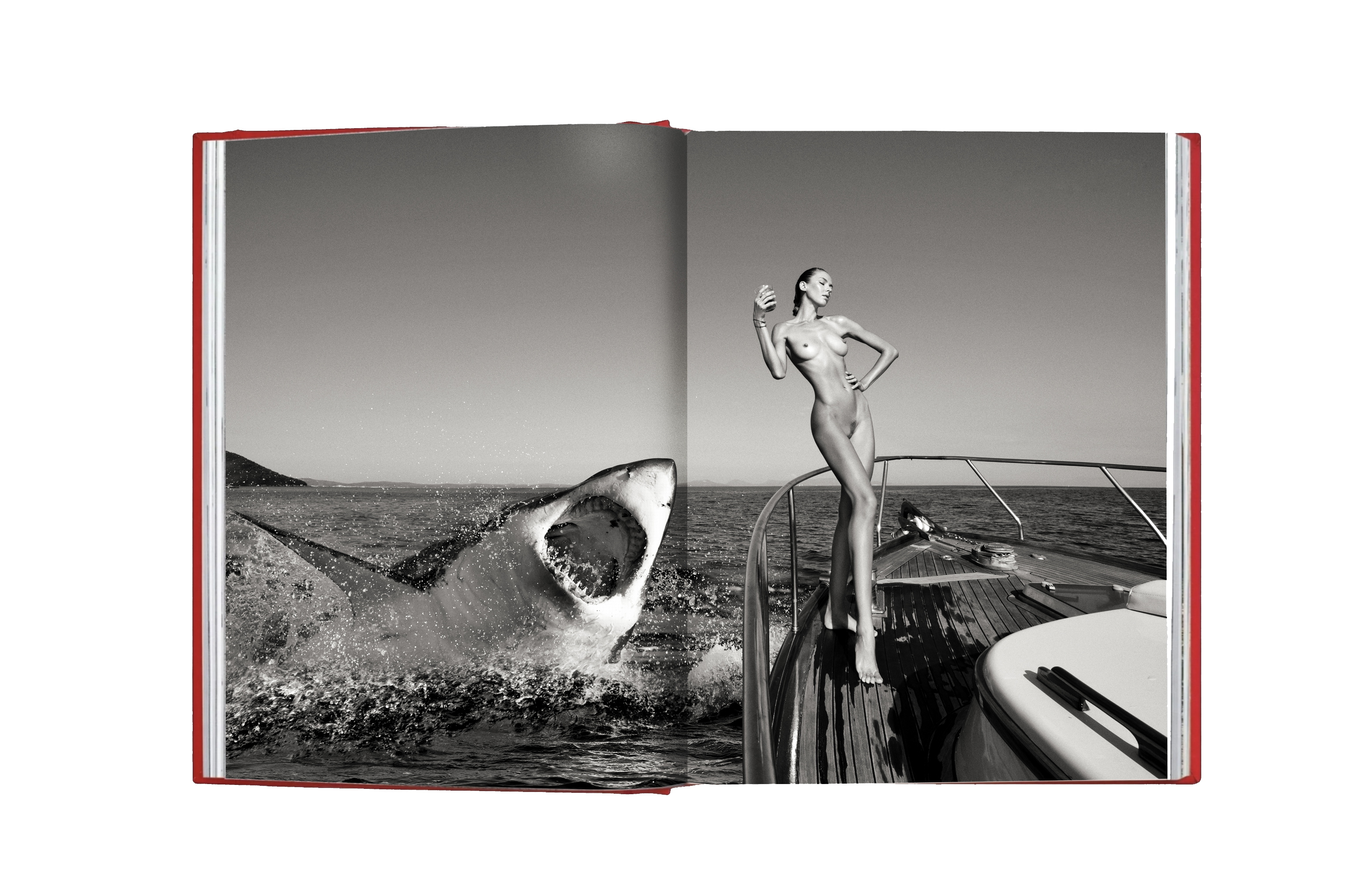BOOK "Alya" by Vassilis Pitoulis