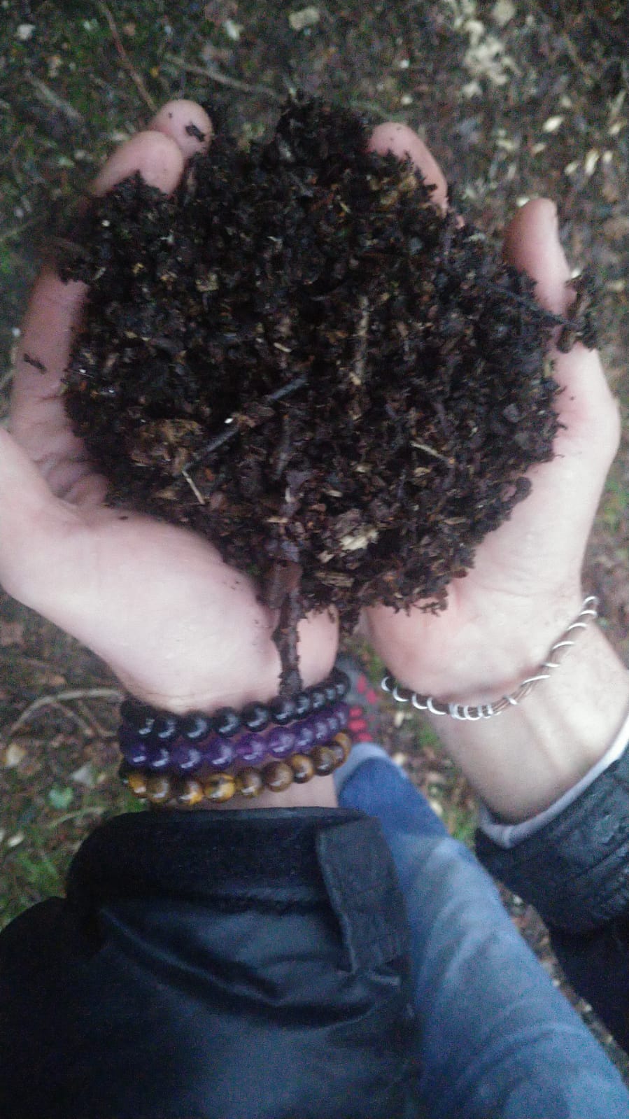 Soil & Water Analysis Test