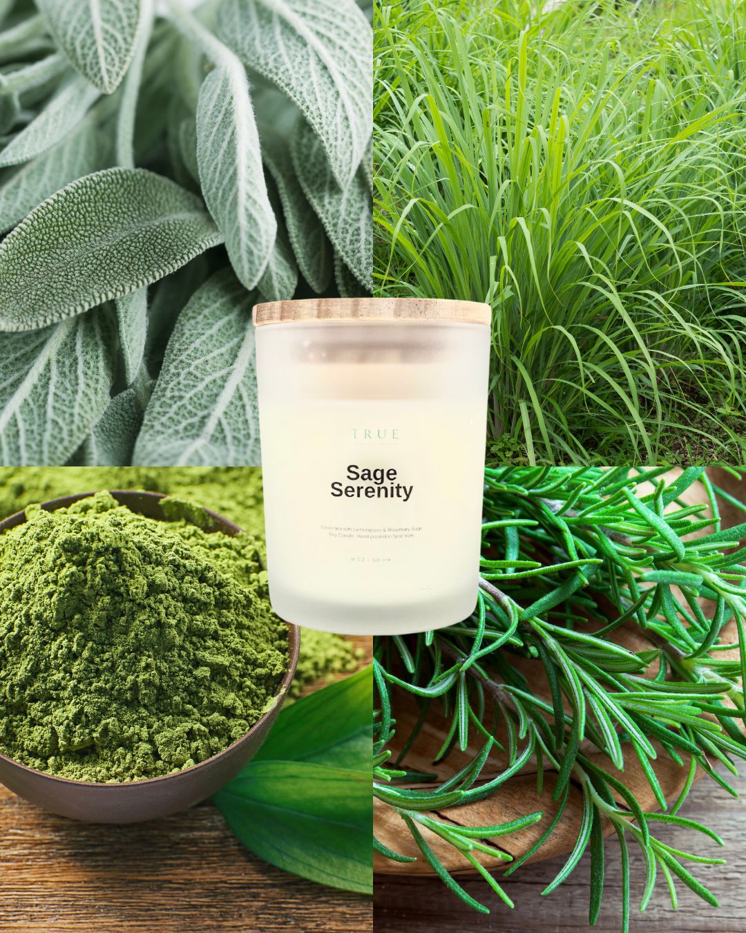 Sage Serenity