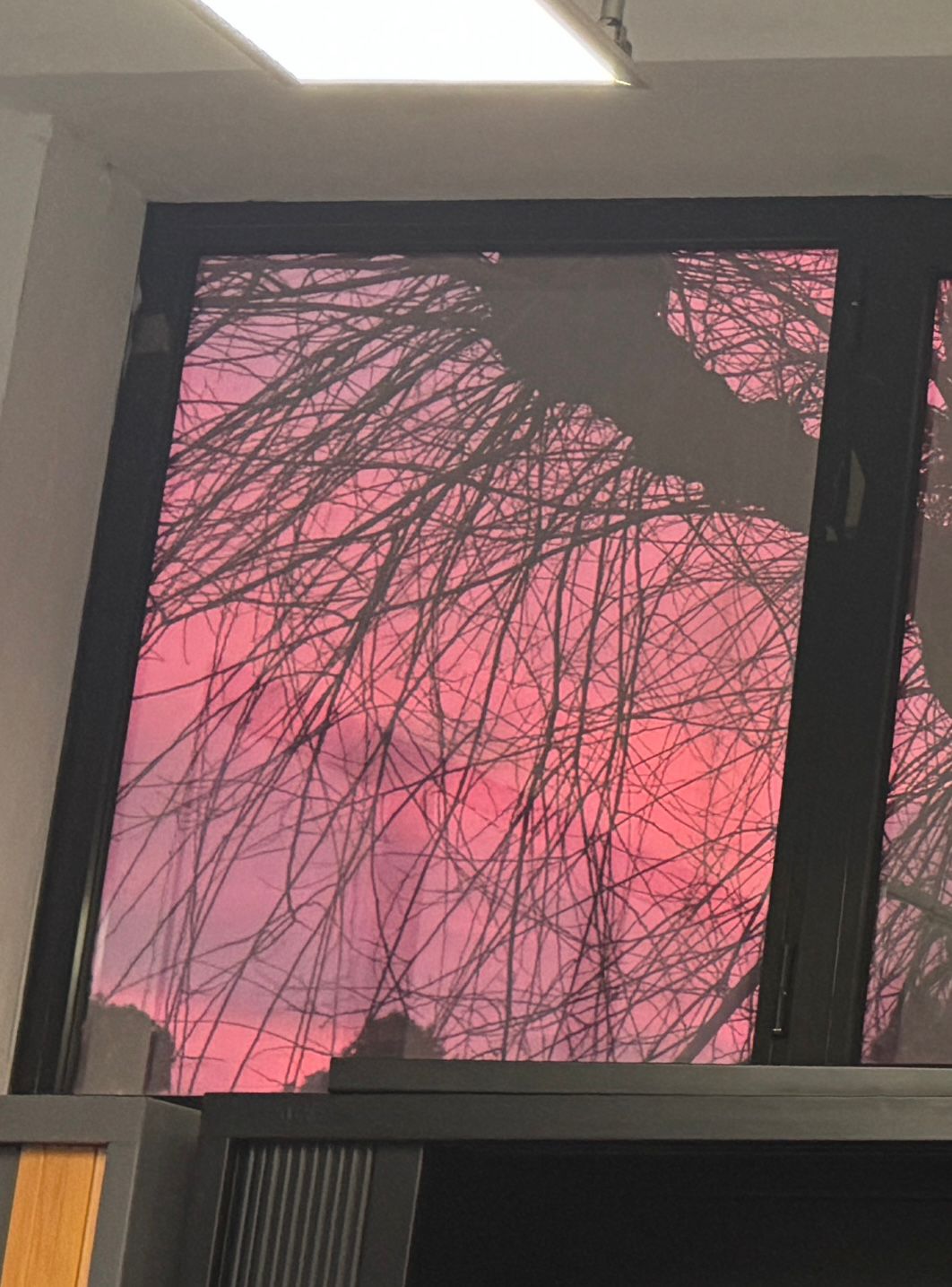 La vida pasa fuera I