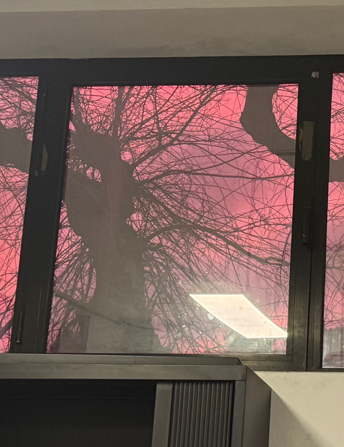 La vida pasa fuera II