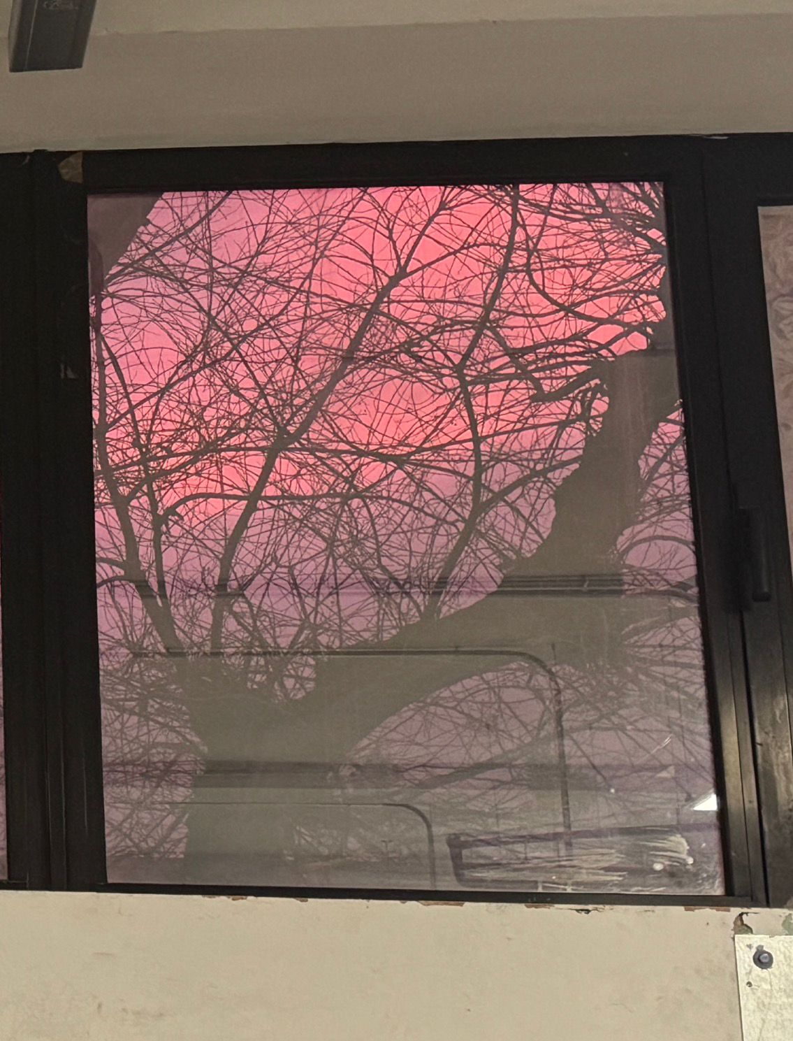 La vida pasa fuera IV