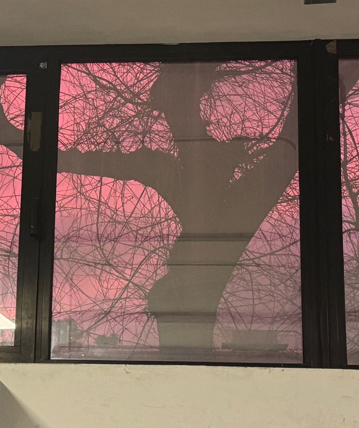 La vida pasa fuera III