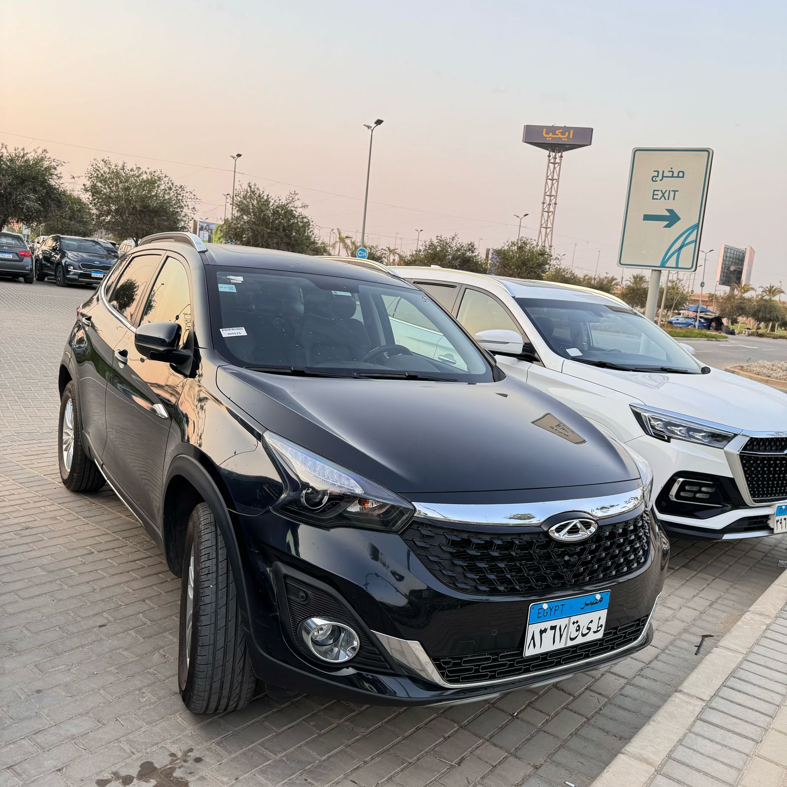 Discover Cairo in Style with the Tiago 7 (2024)